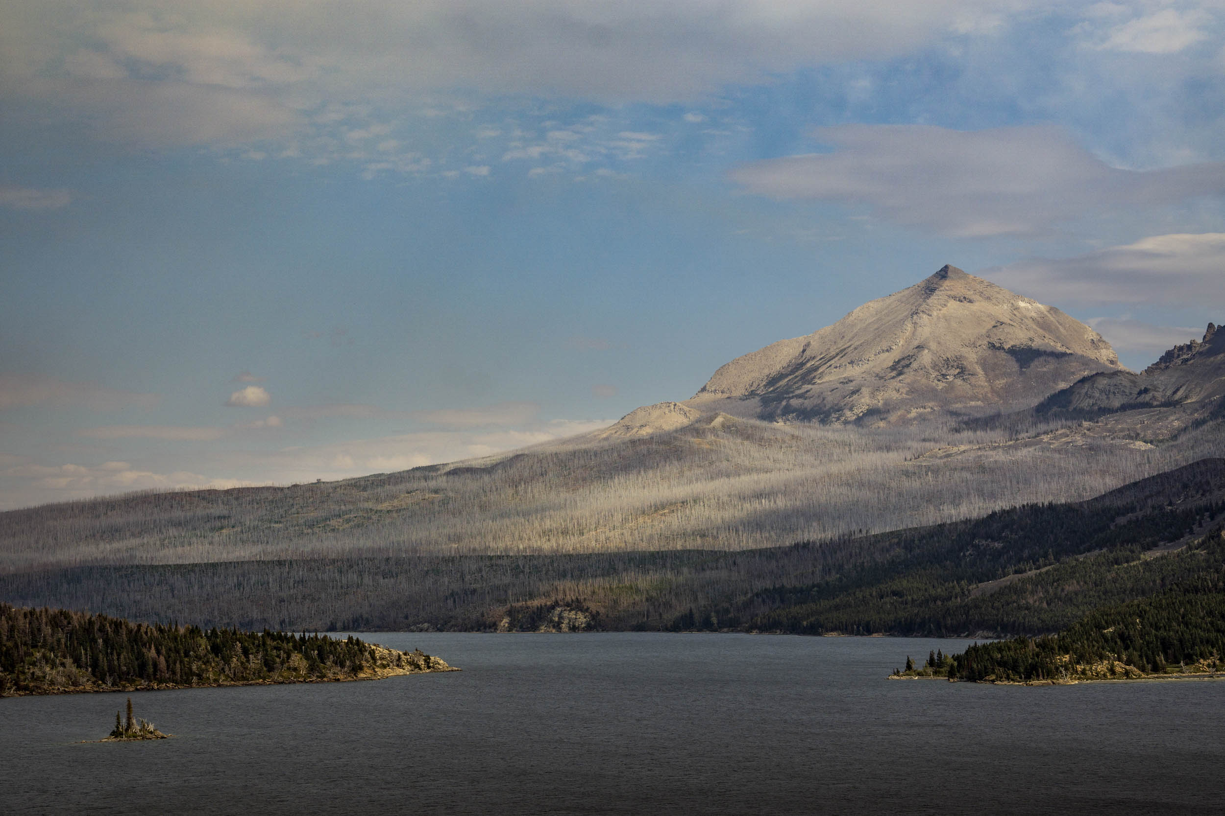 Jonas Nefzger Photography