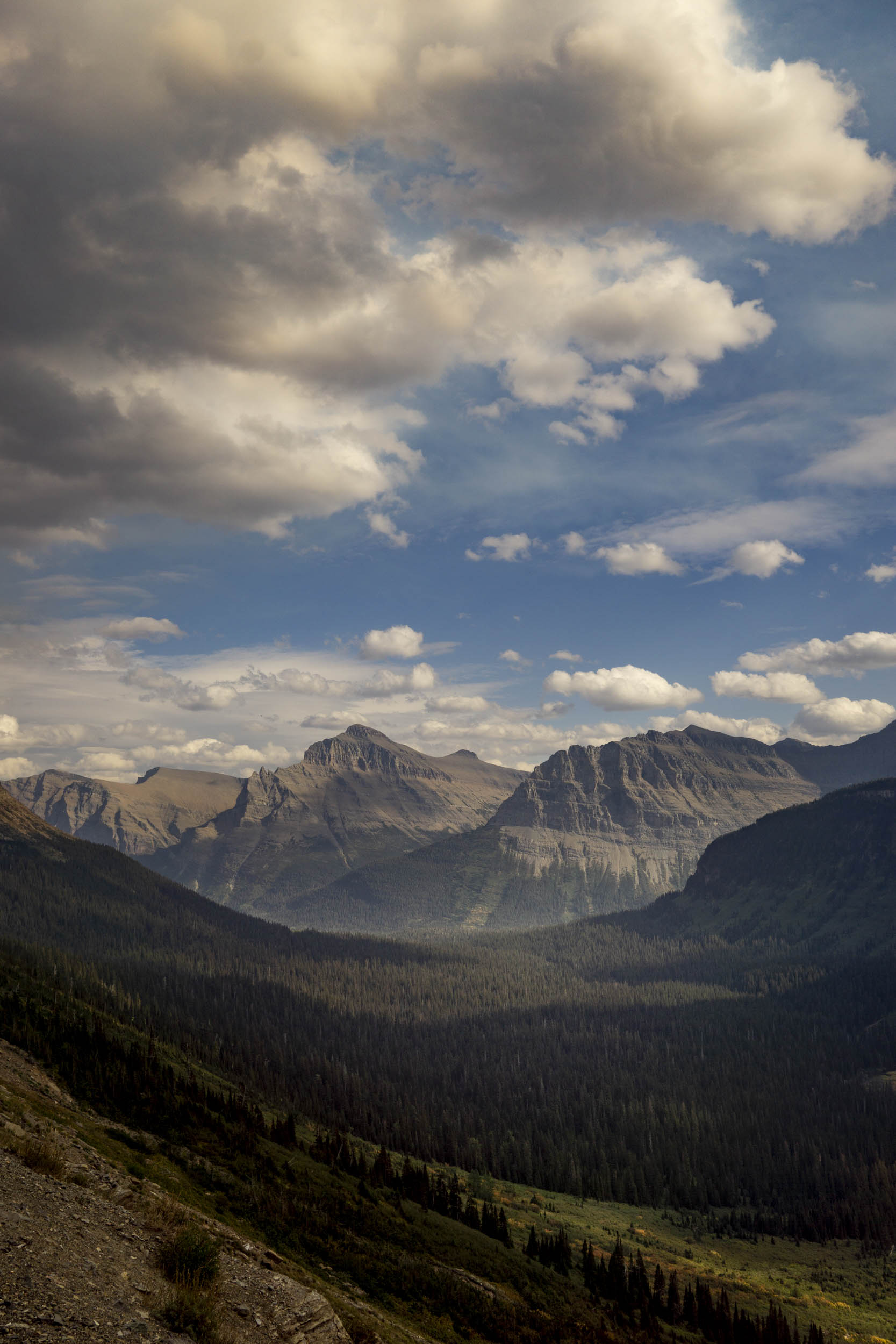 Jonas Nefzger Photography