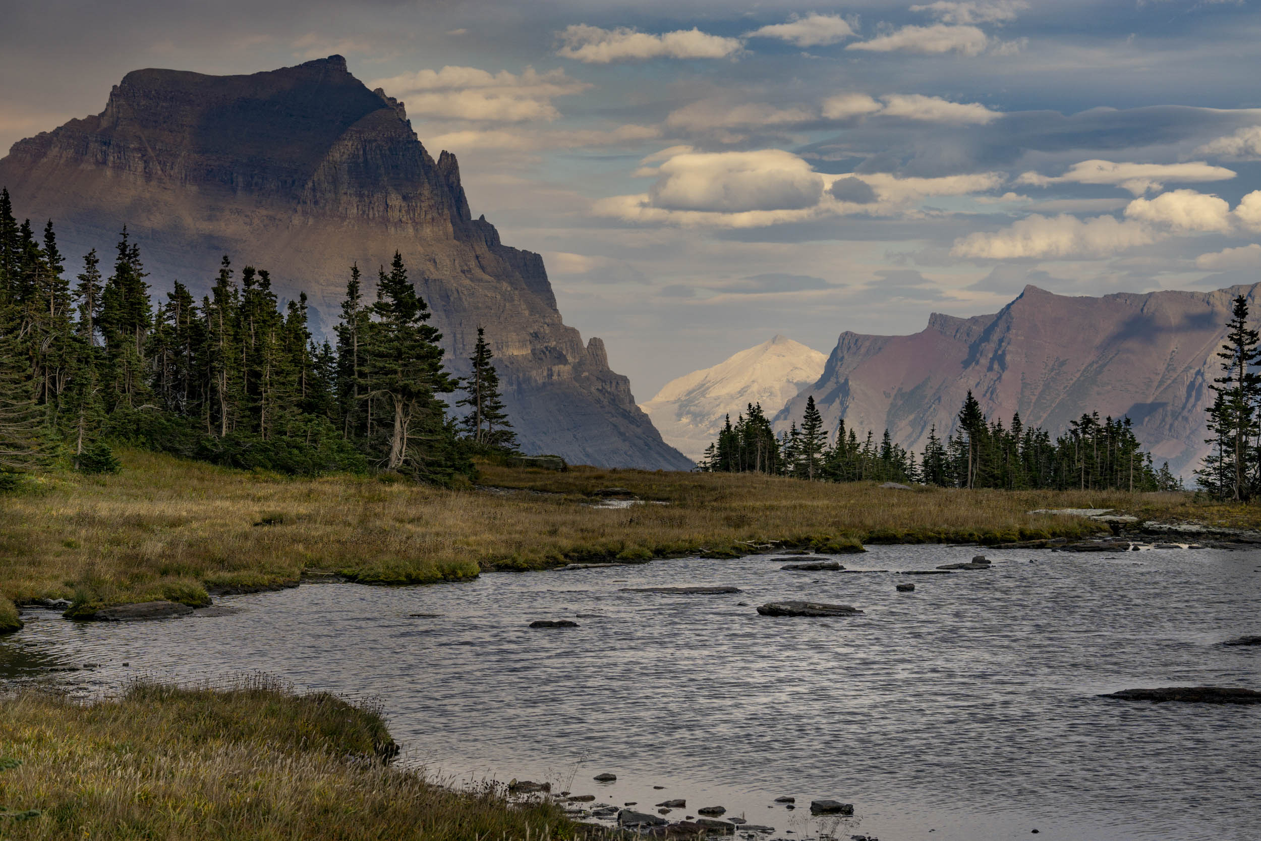 Jonas Nefzger Photography