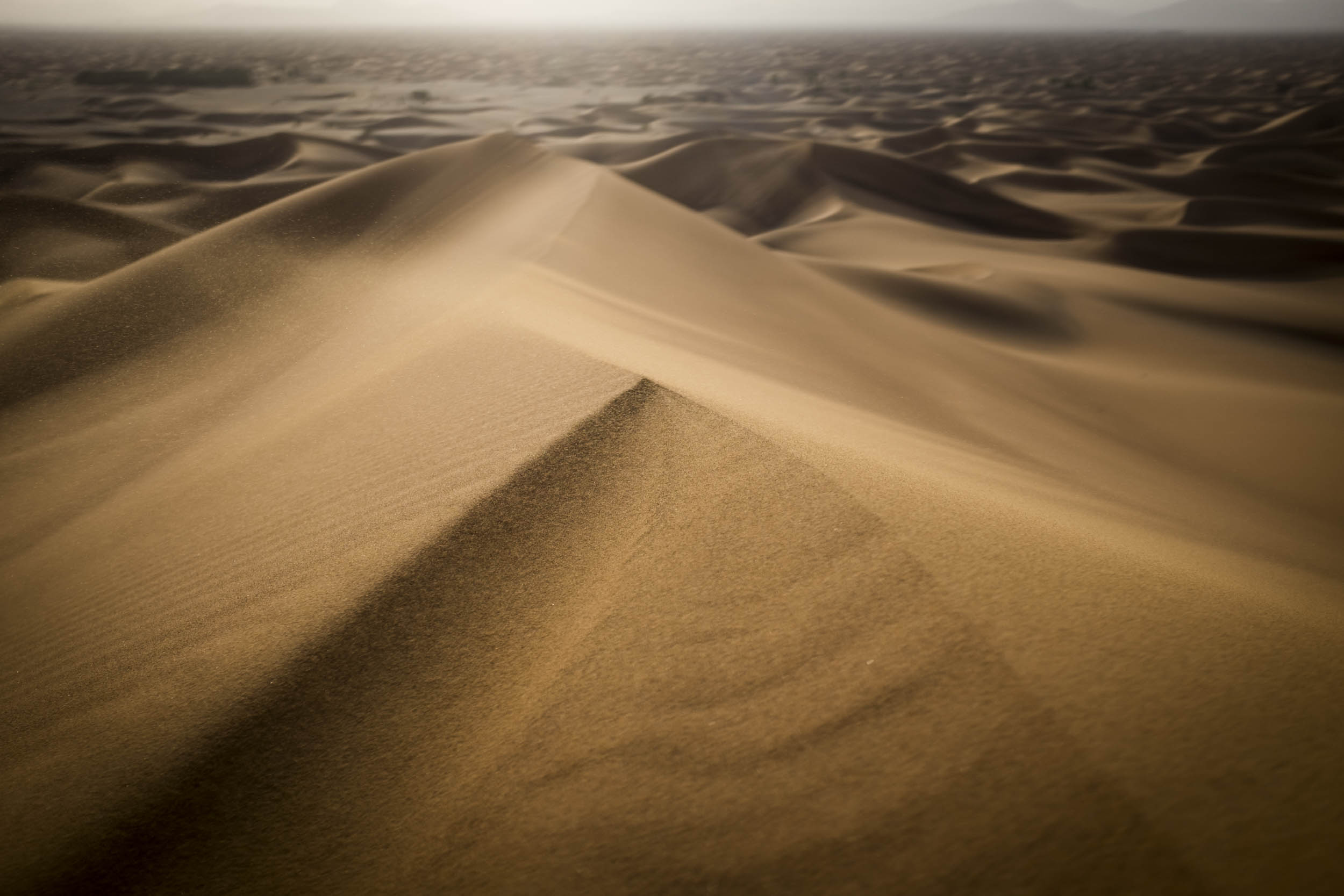 Jonas Nefzger Photography