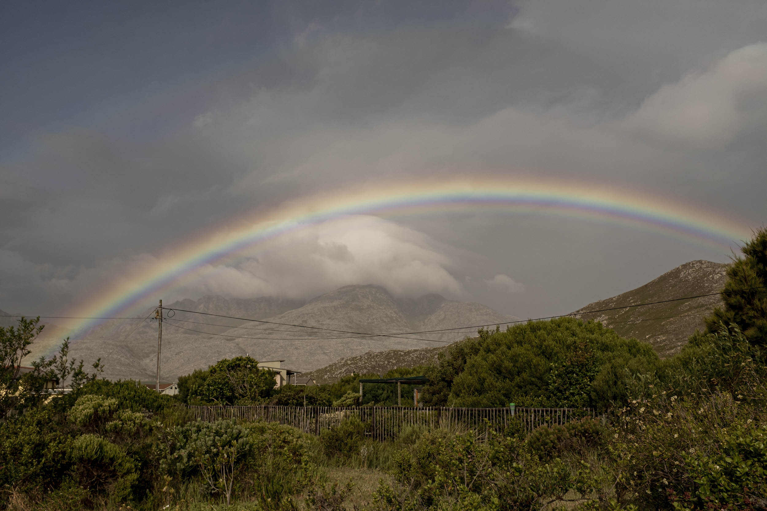 Jonas Nefzger Photography