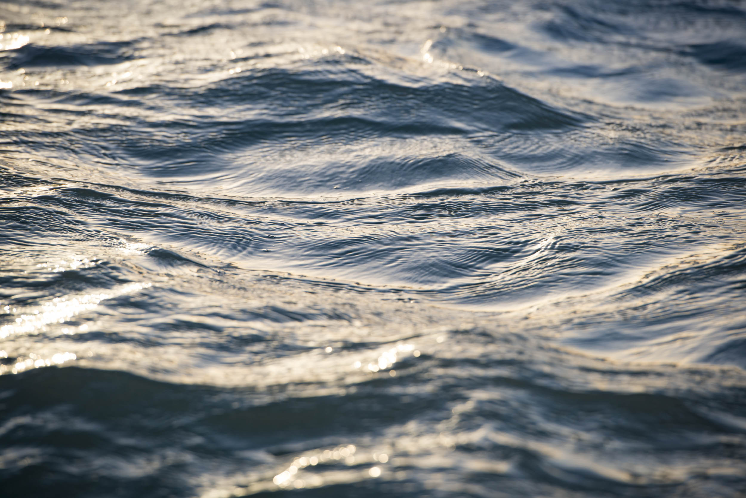 Jonas Nefzger Photography