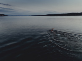 Jonas Nefzger Photography