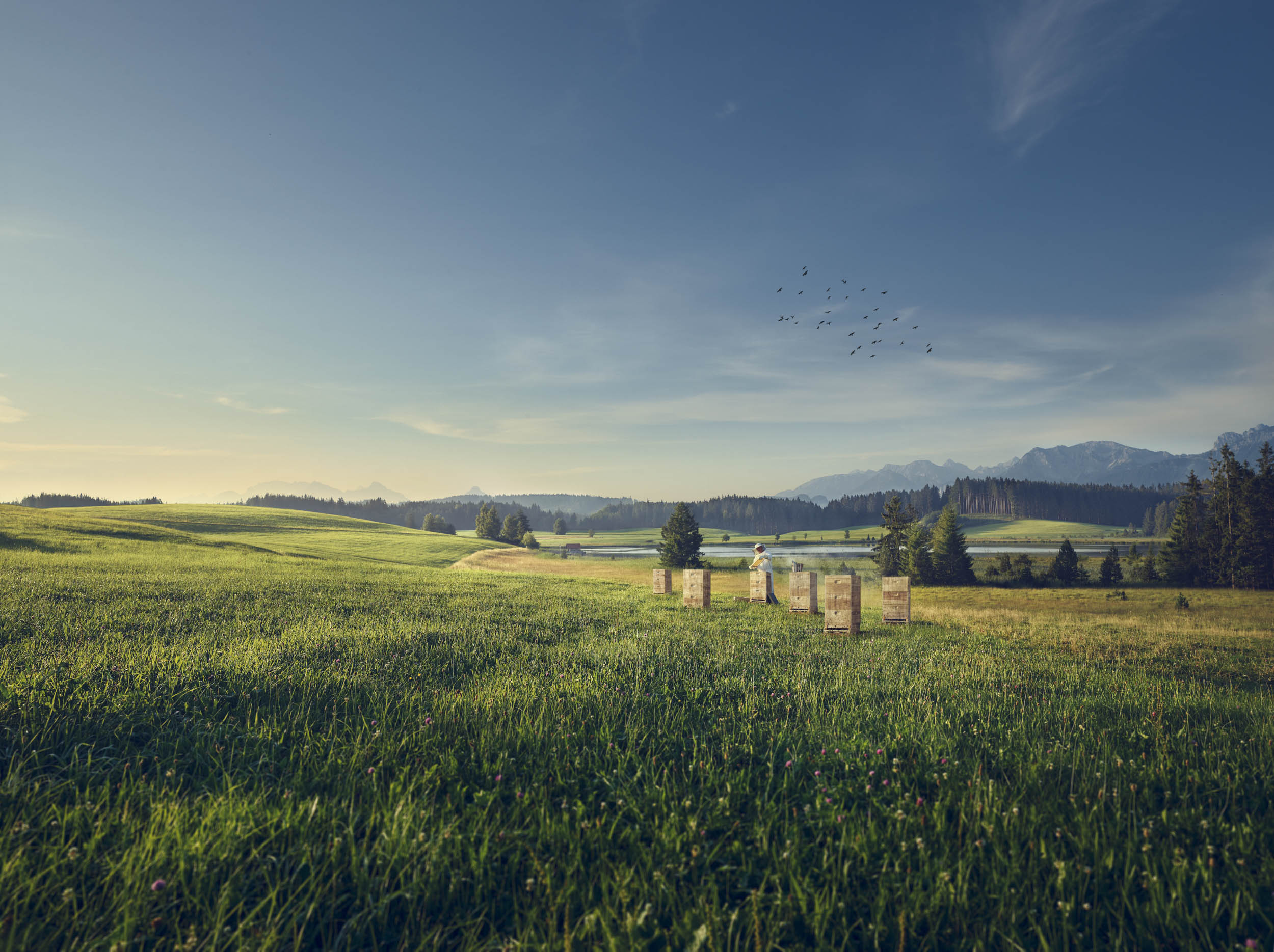 Jonas Nefzger Photography