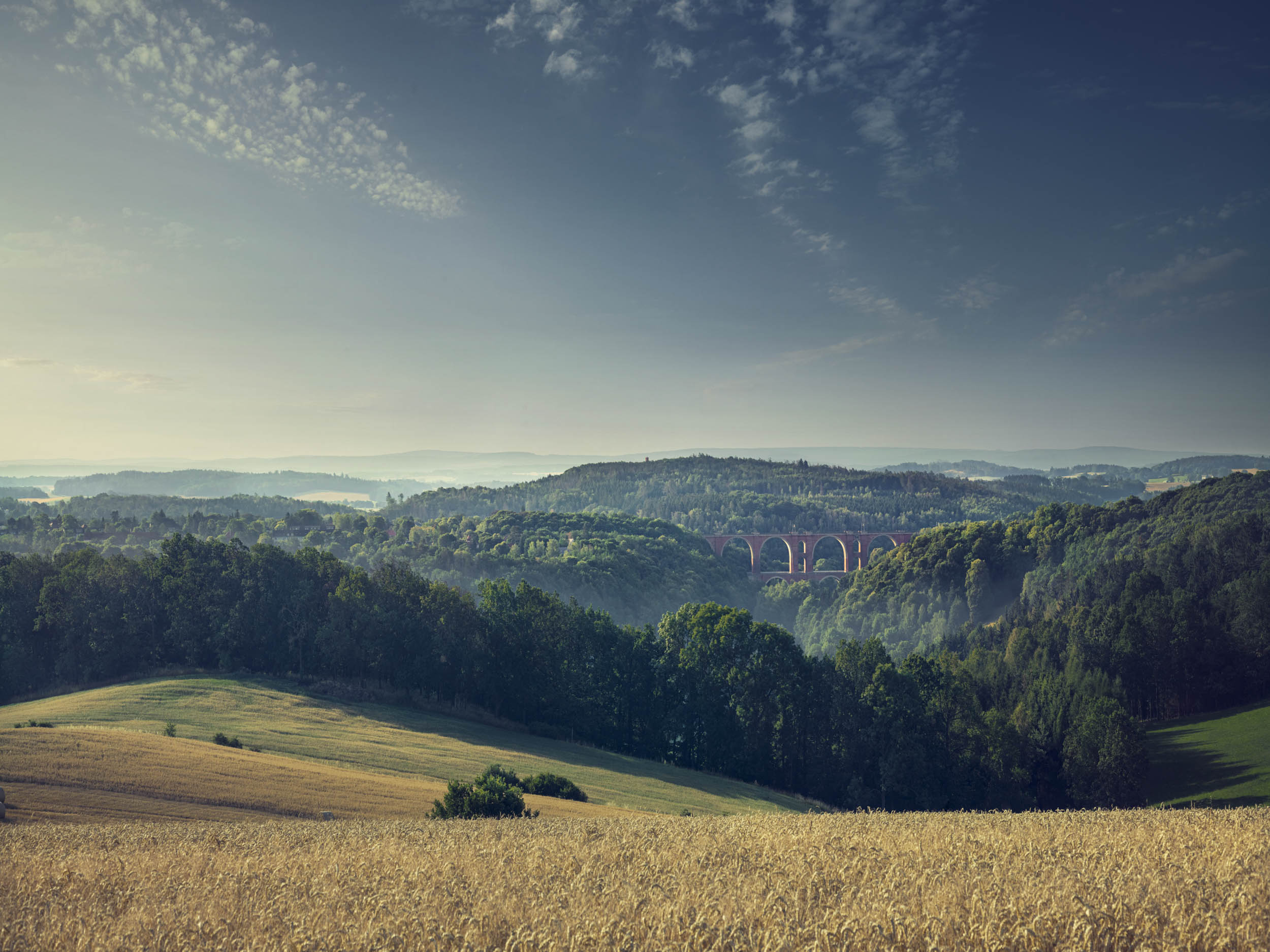 Jonas Nefzger Photography