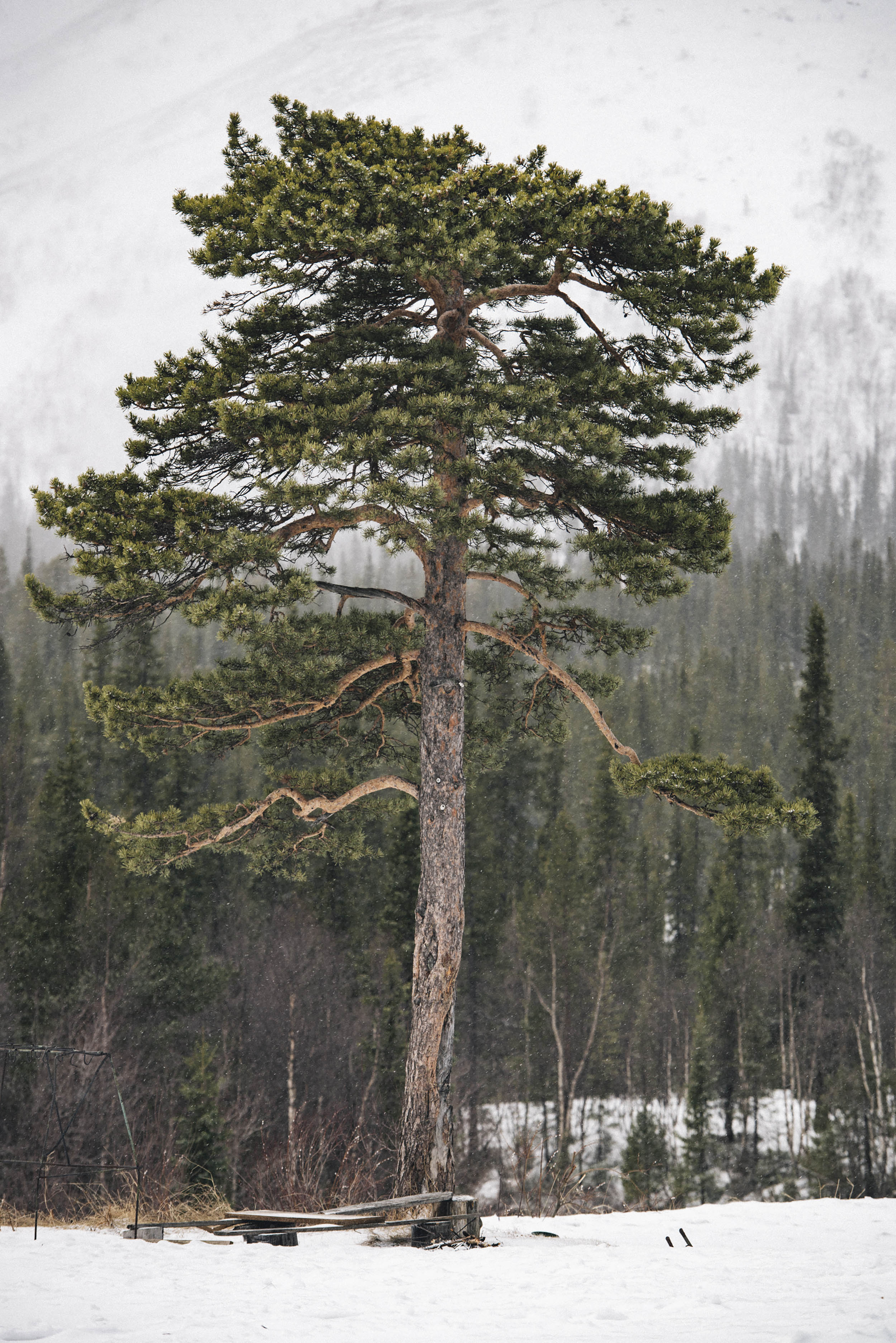 Jonas Nefzger Photography