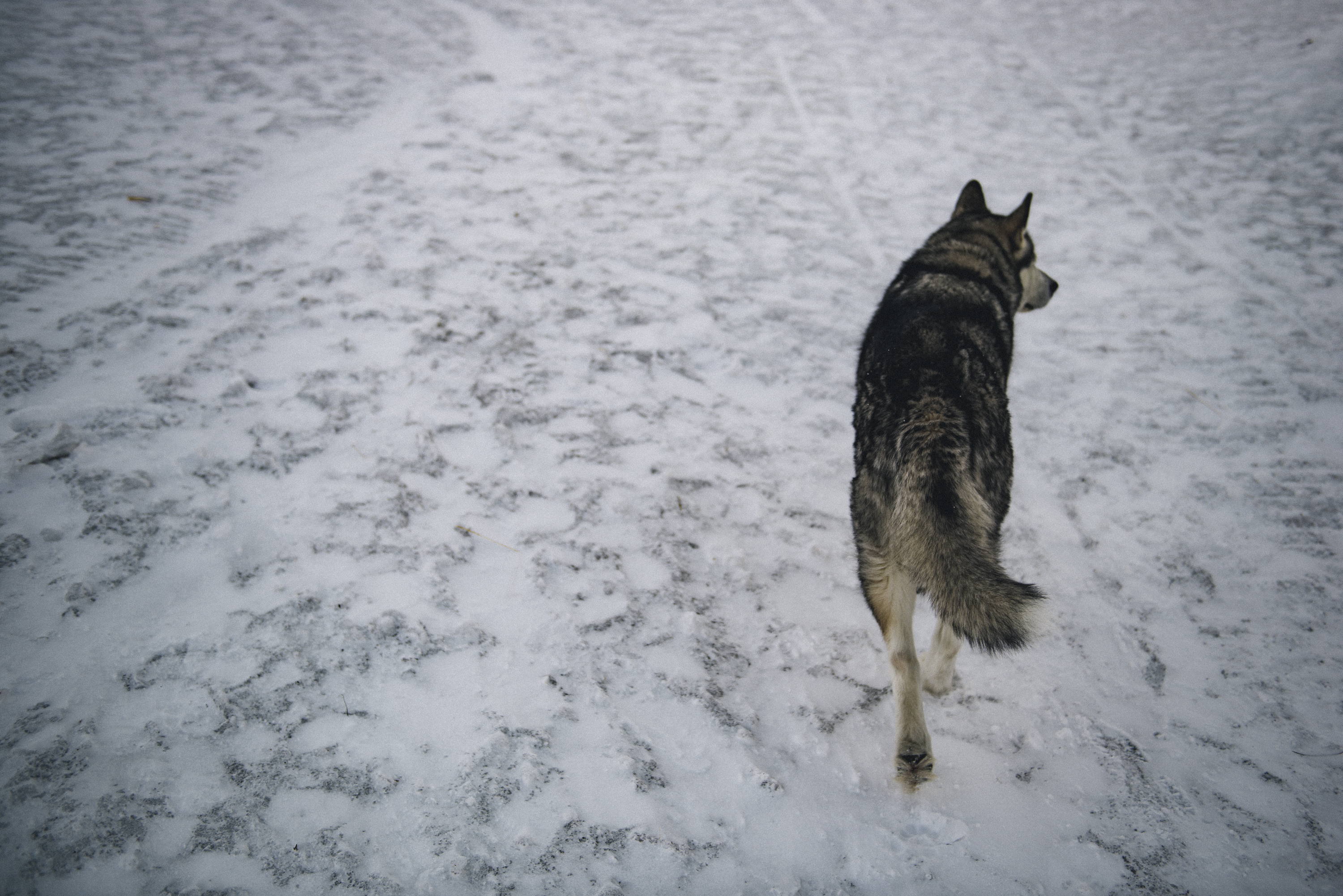 Jonas Nefzger Photography