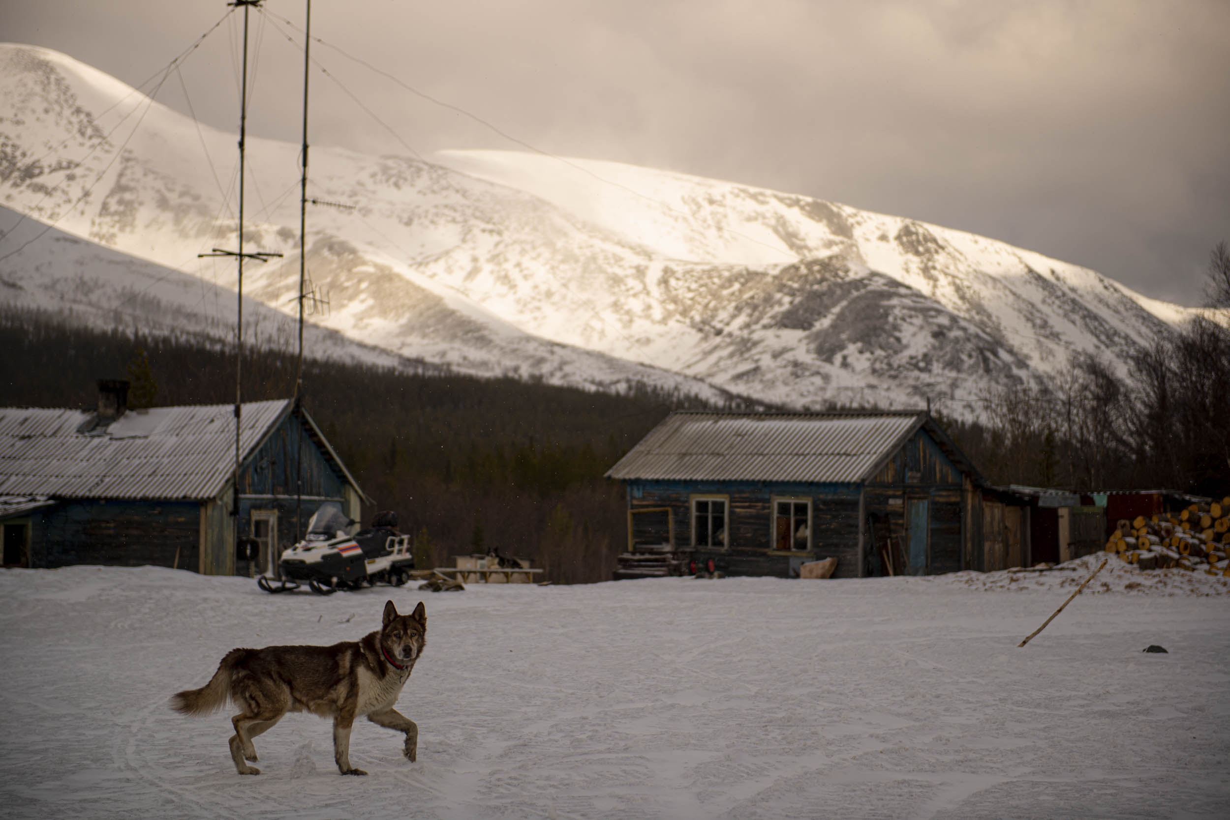 Jonas Nefzger Photography