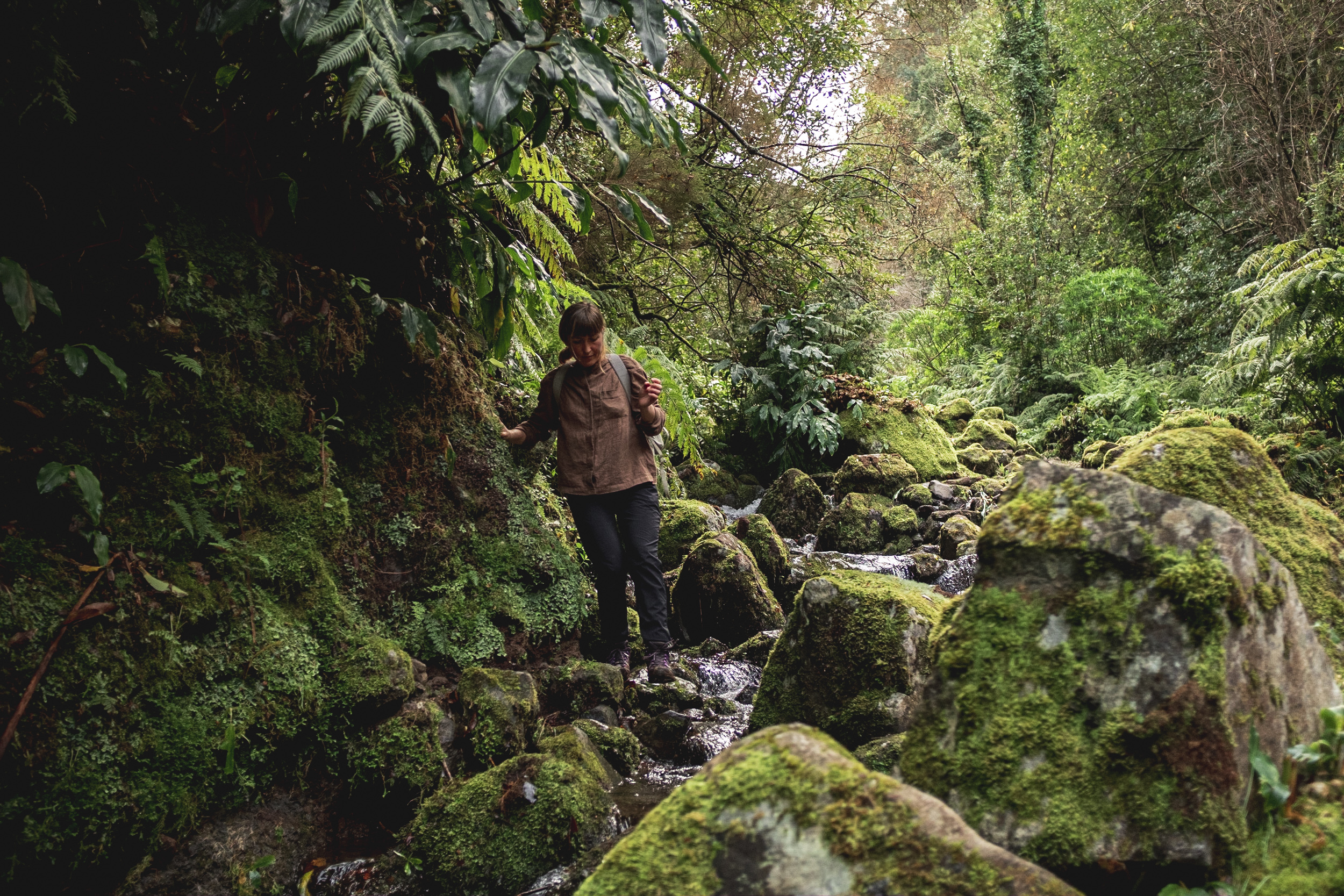 Jonas Nefzger Photography