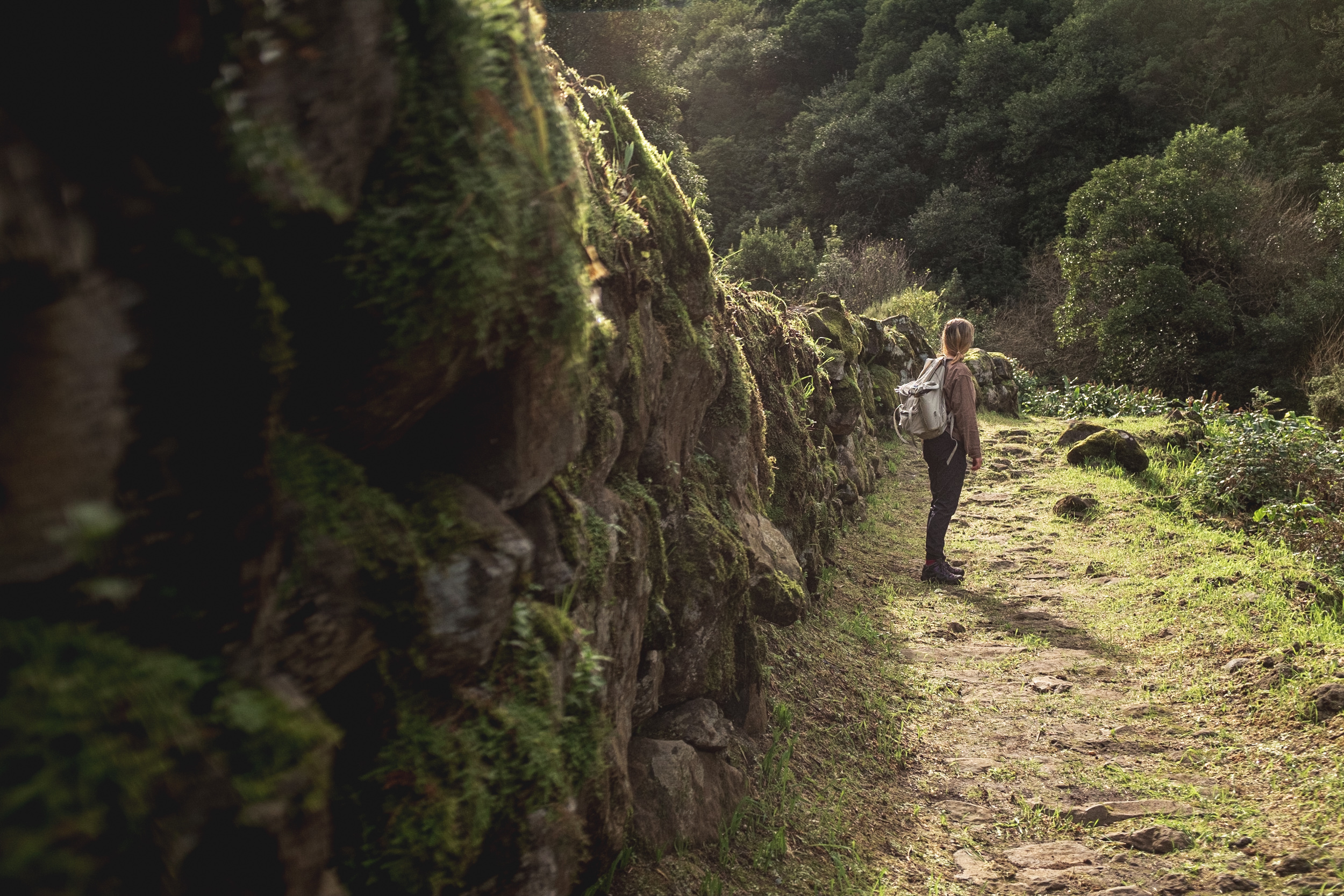 Jonas Nefzger Photography