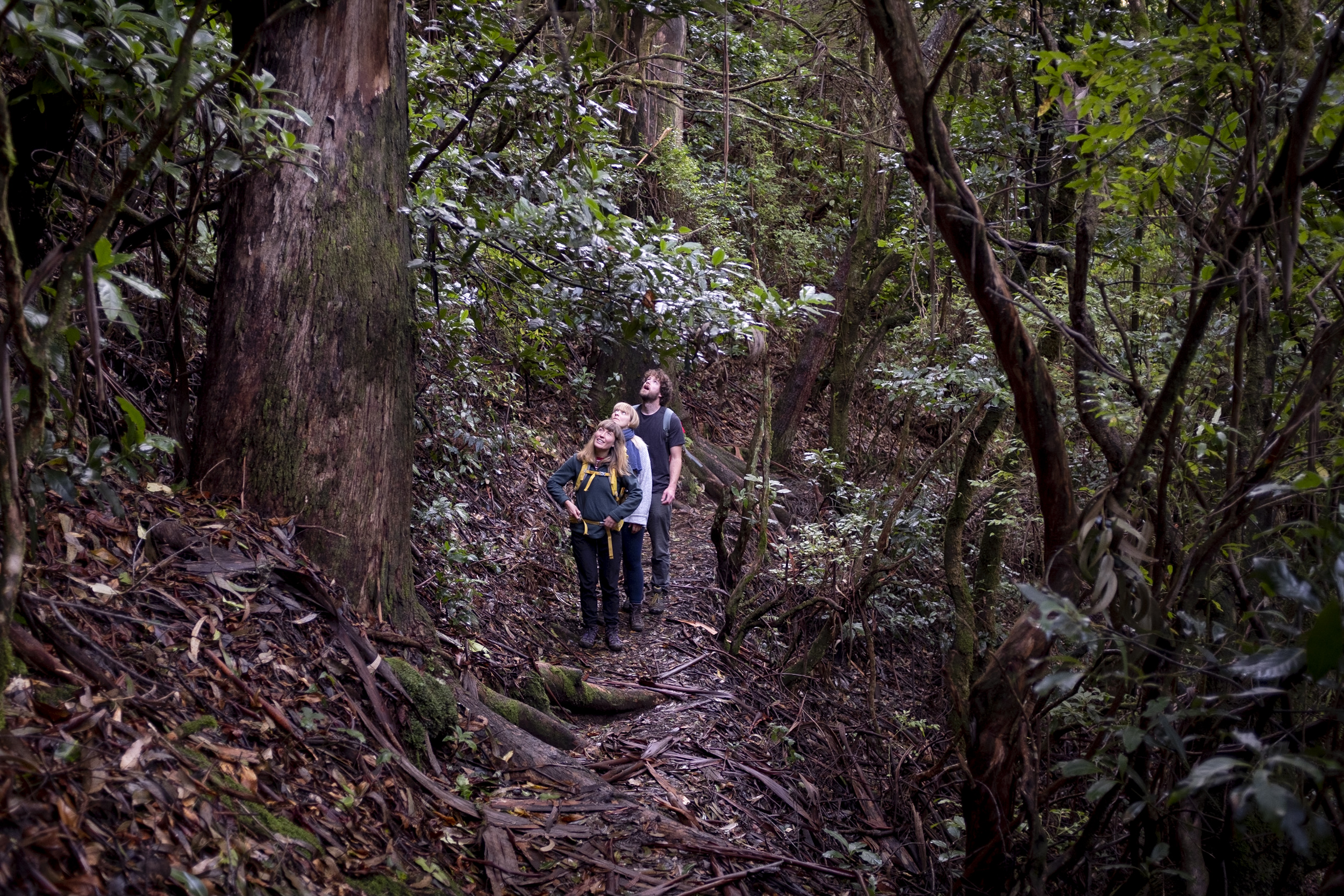 Jonas Nefzger Photography