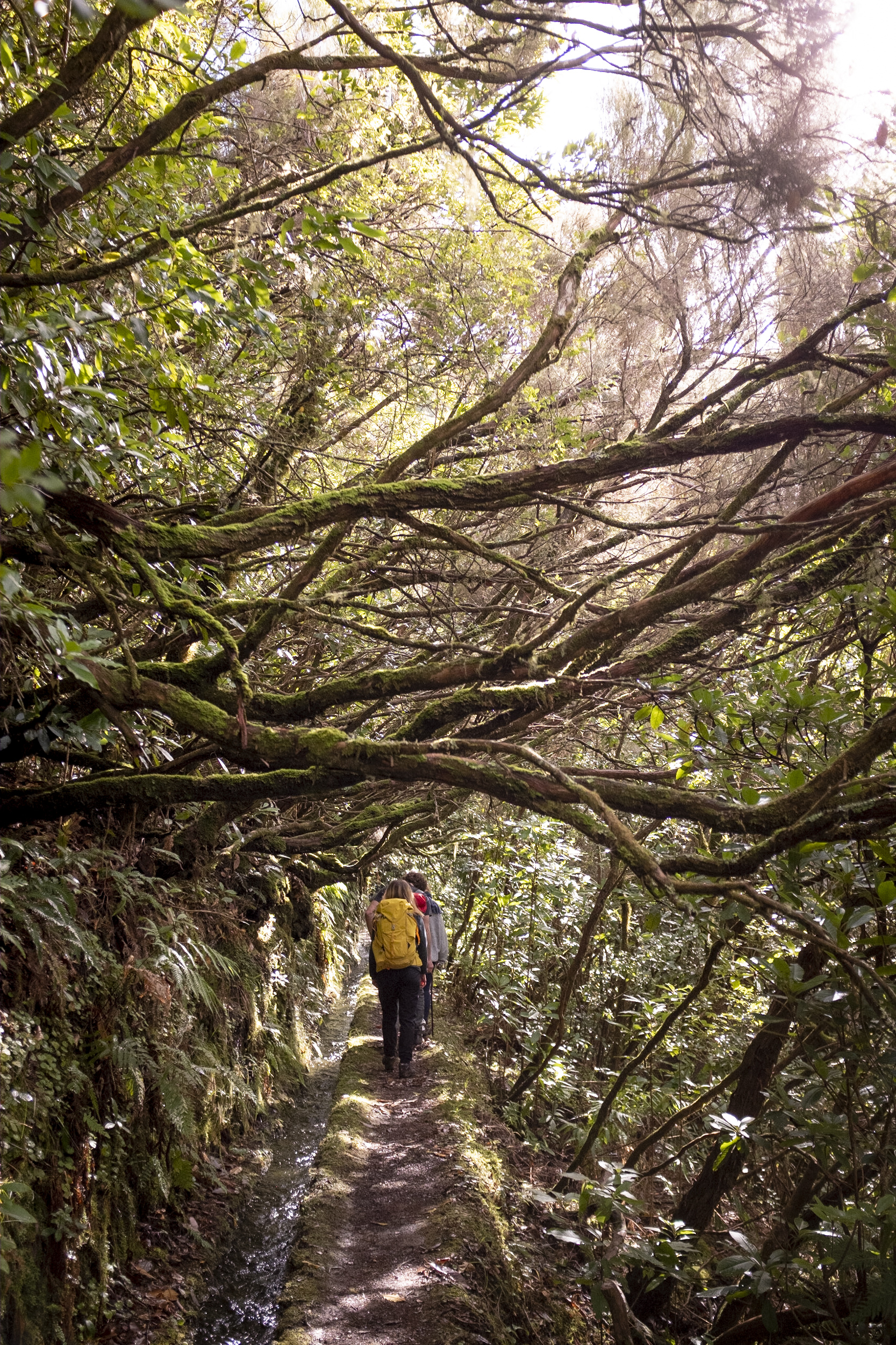 Jonas Nefzger Photography