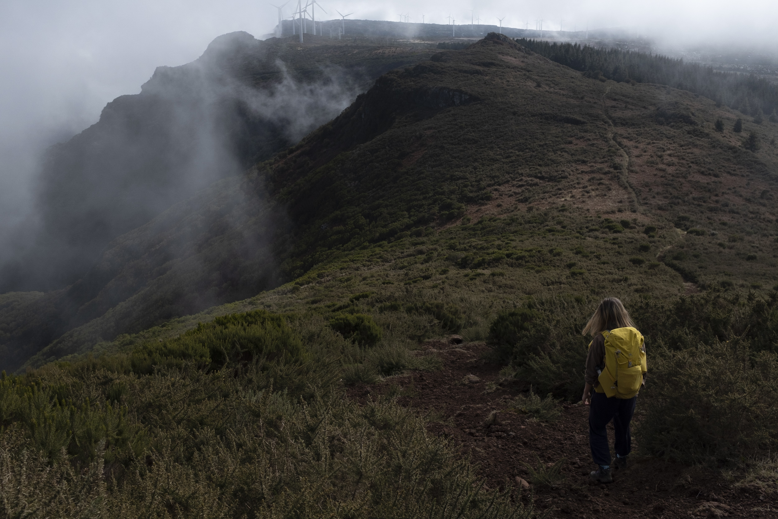 Jonas Nefzger Photography