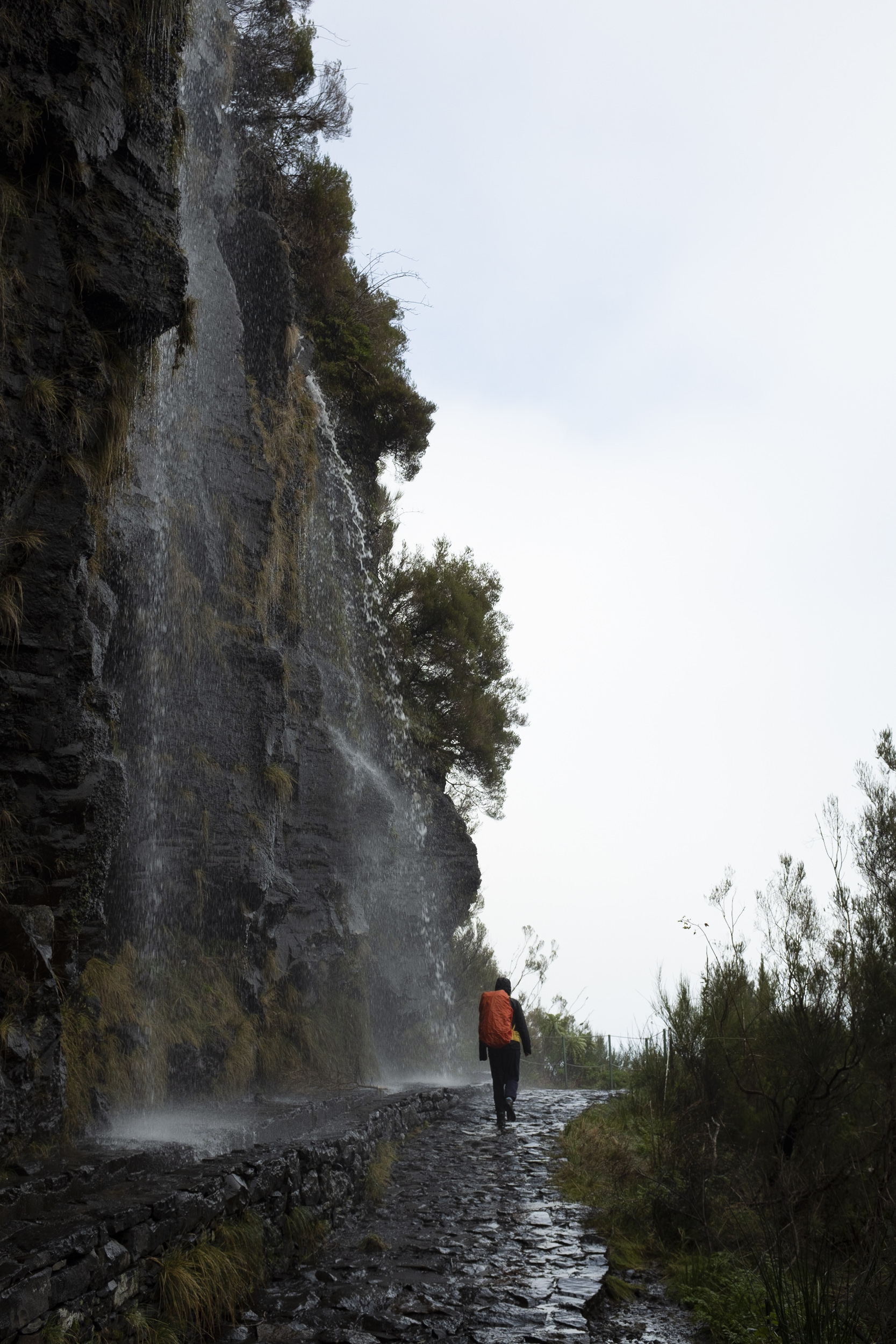 Jonas Nefzger Photography