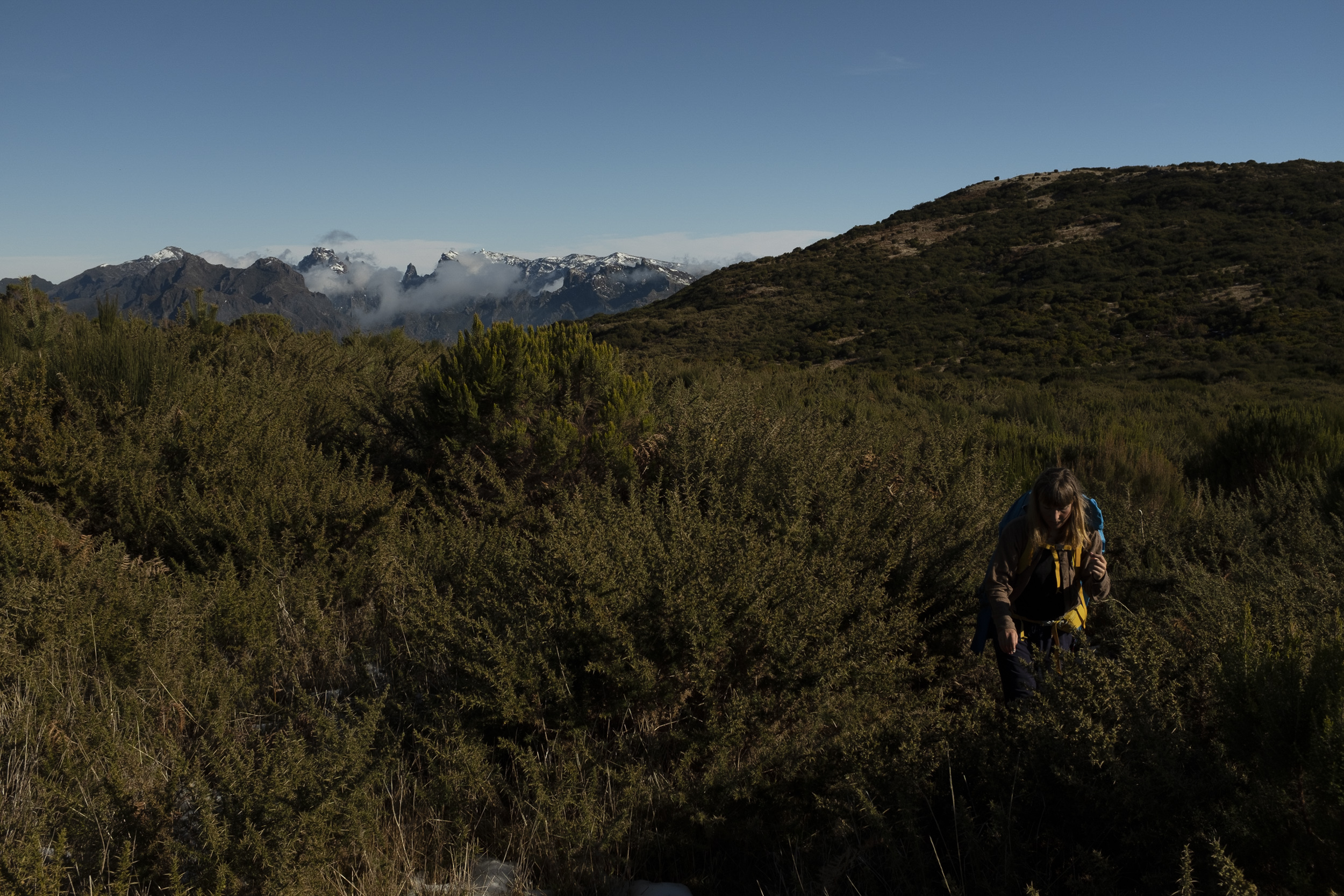 Jonas Nefzger Photography