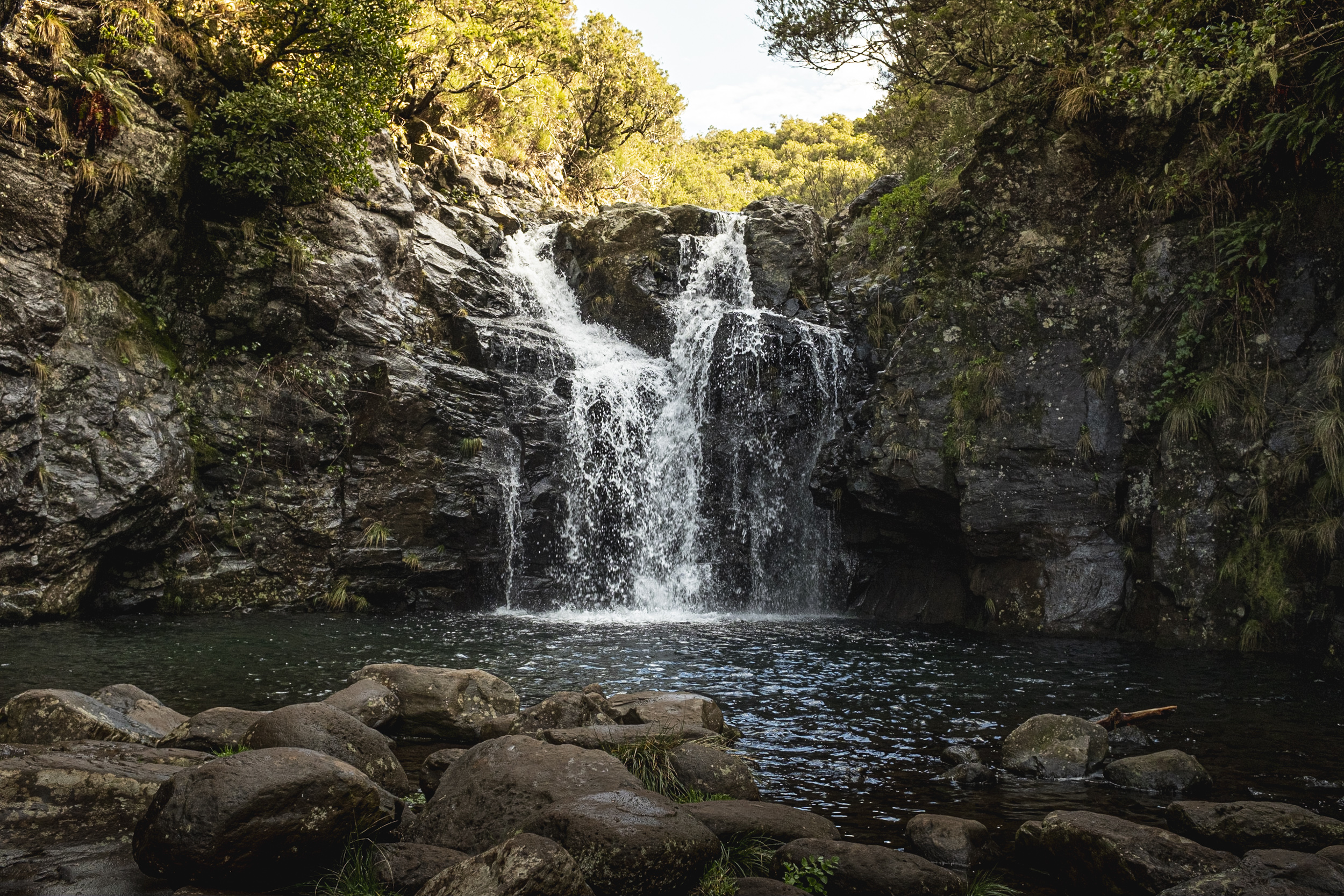 Jonas Nefzger Photography