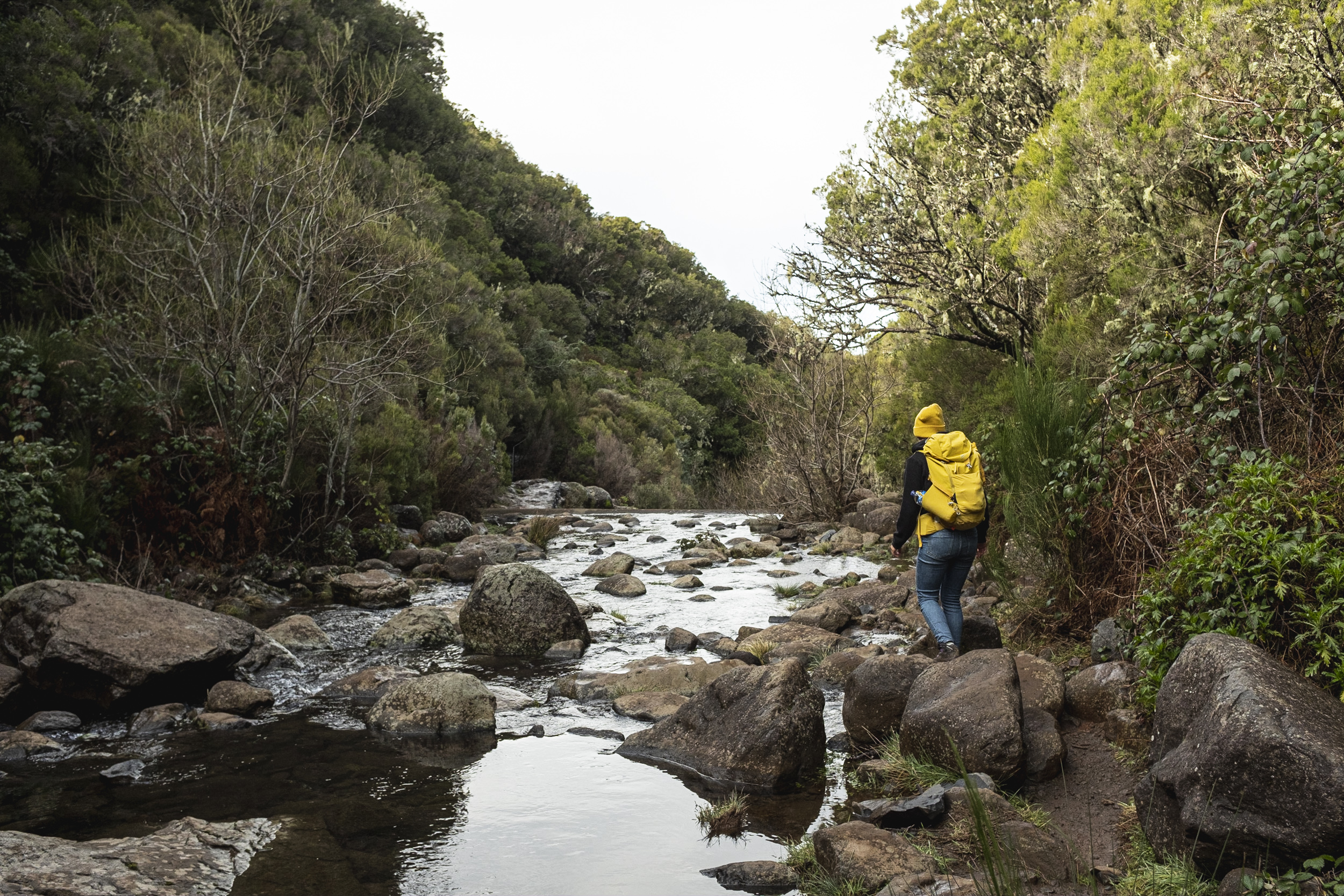 Jonas Nefzger Photography