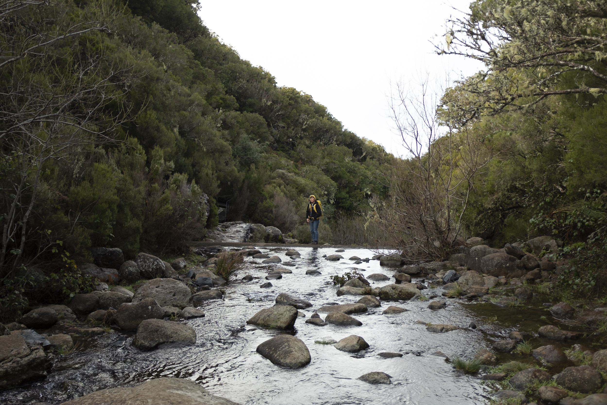 Jonas Nefzger Photography