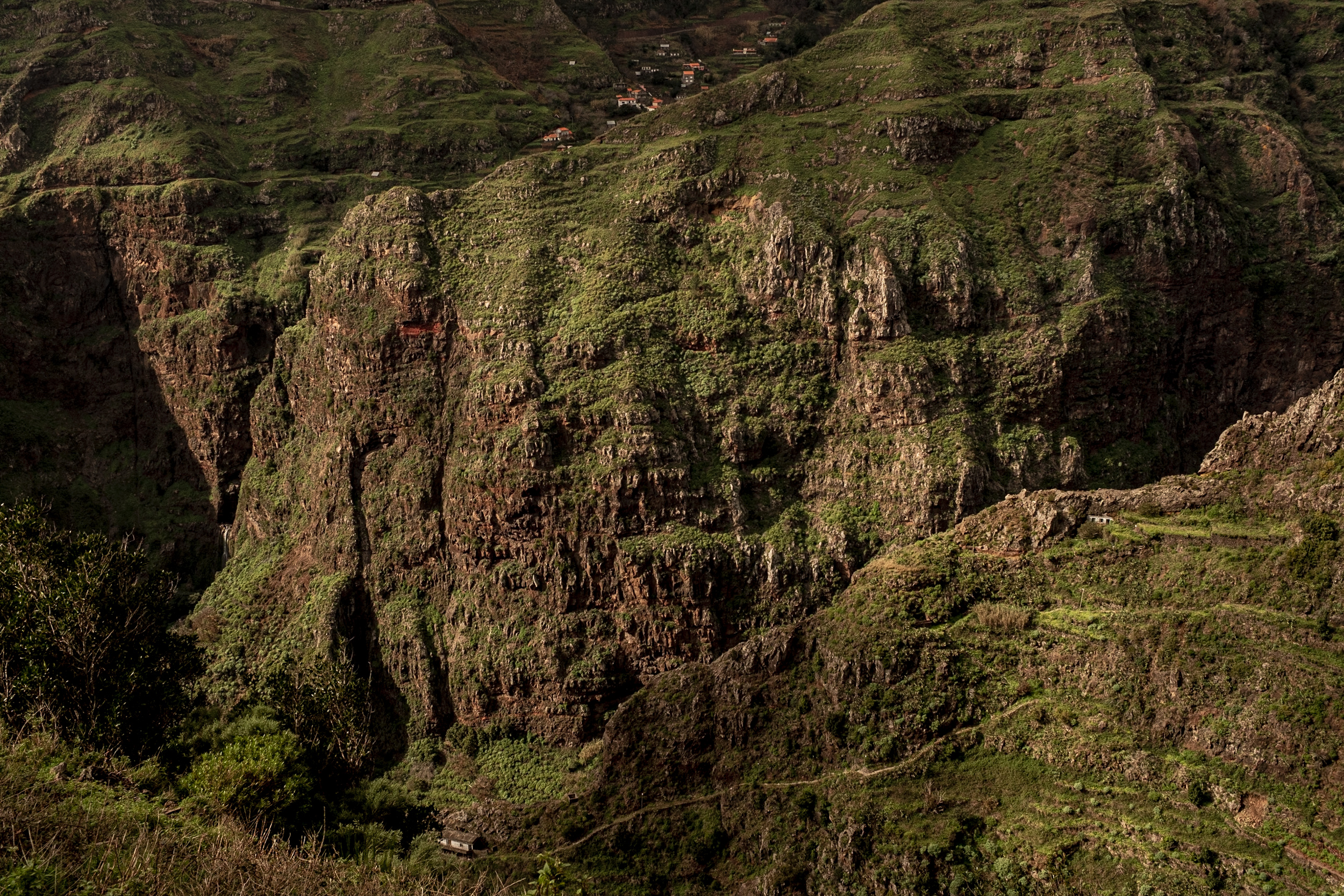 Jonas Nefzger Photography