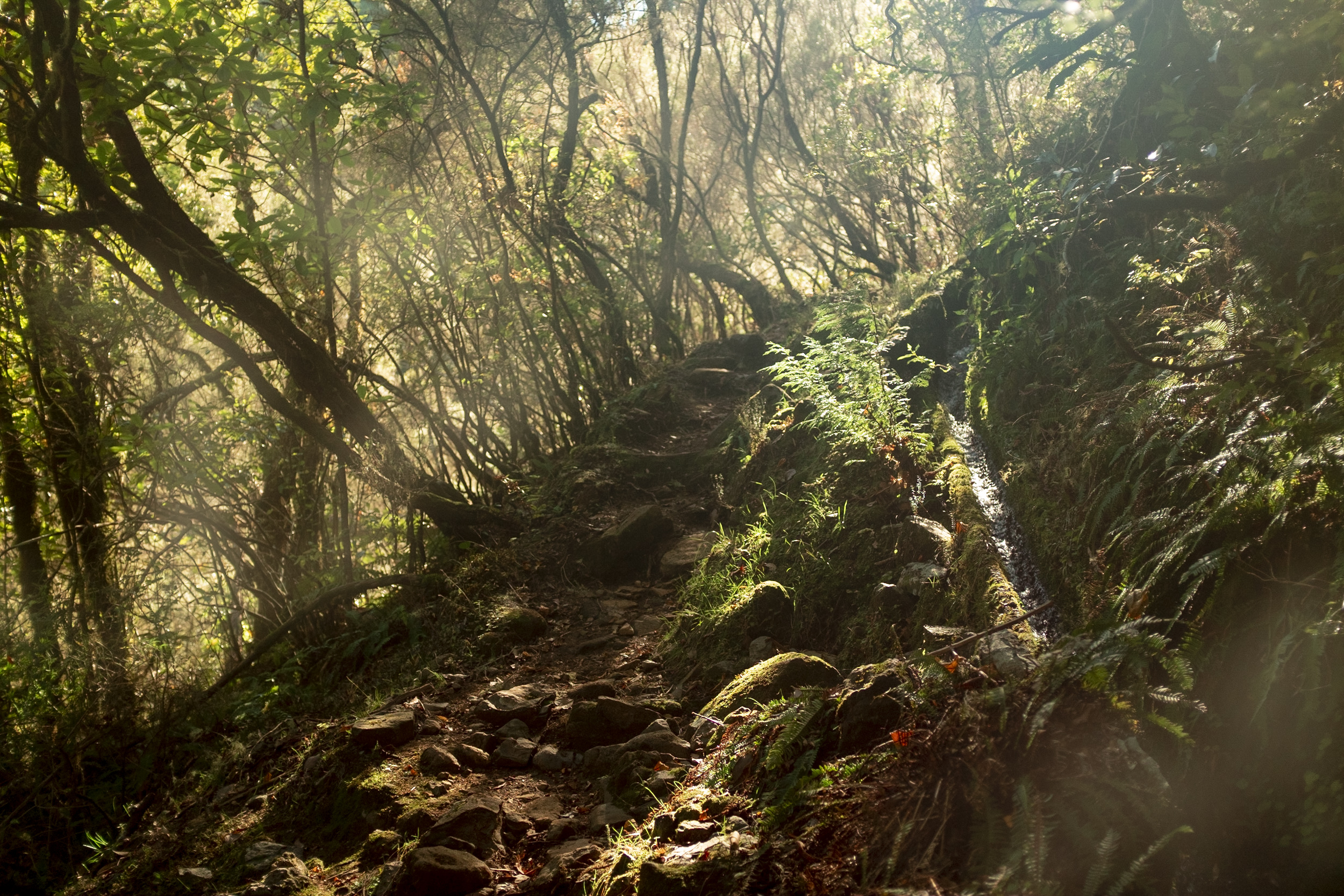 Jonas Nefzger Photography