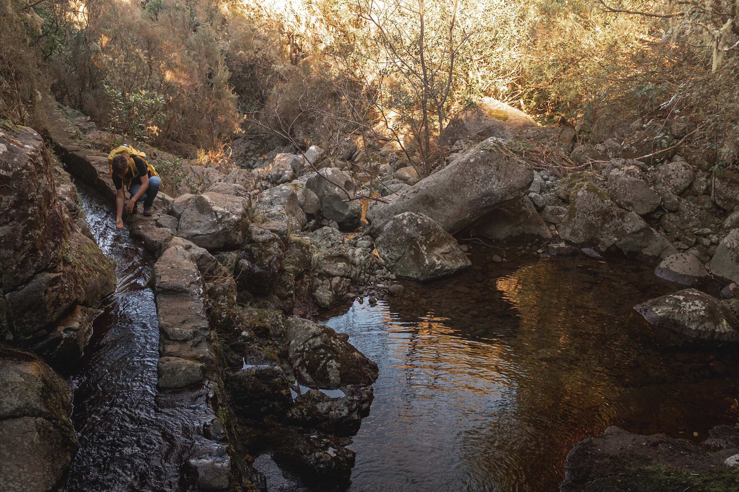 Jonas Nefzger Photography