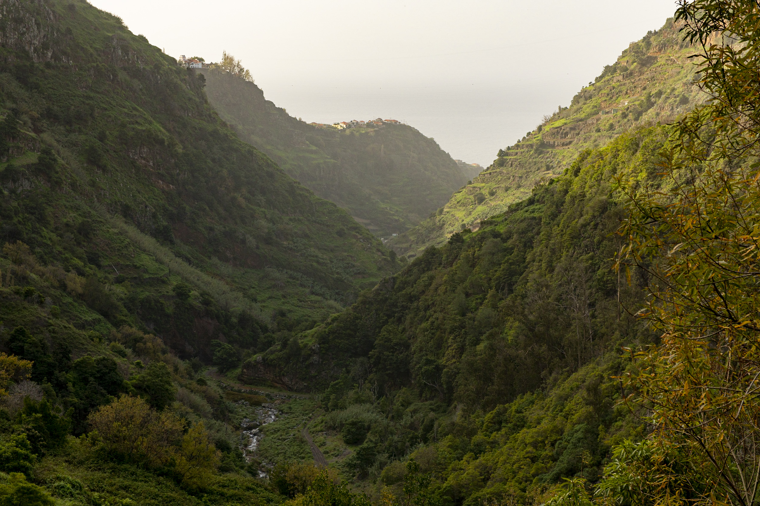 Jonas Nefzger Photography