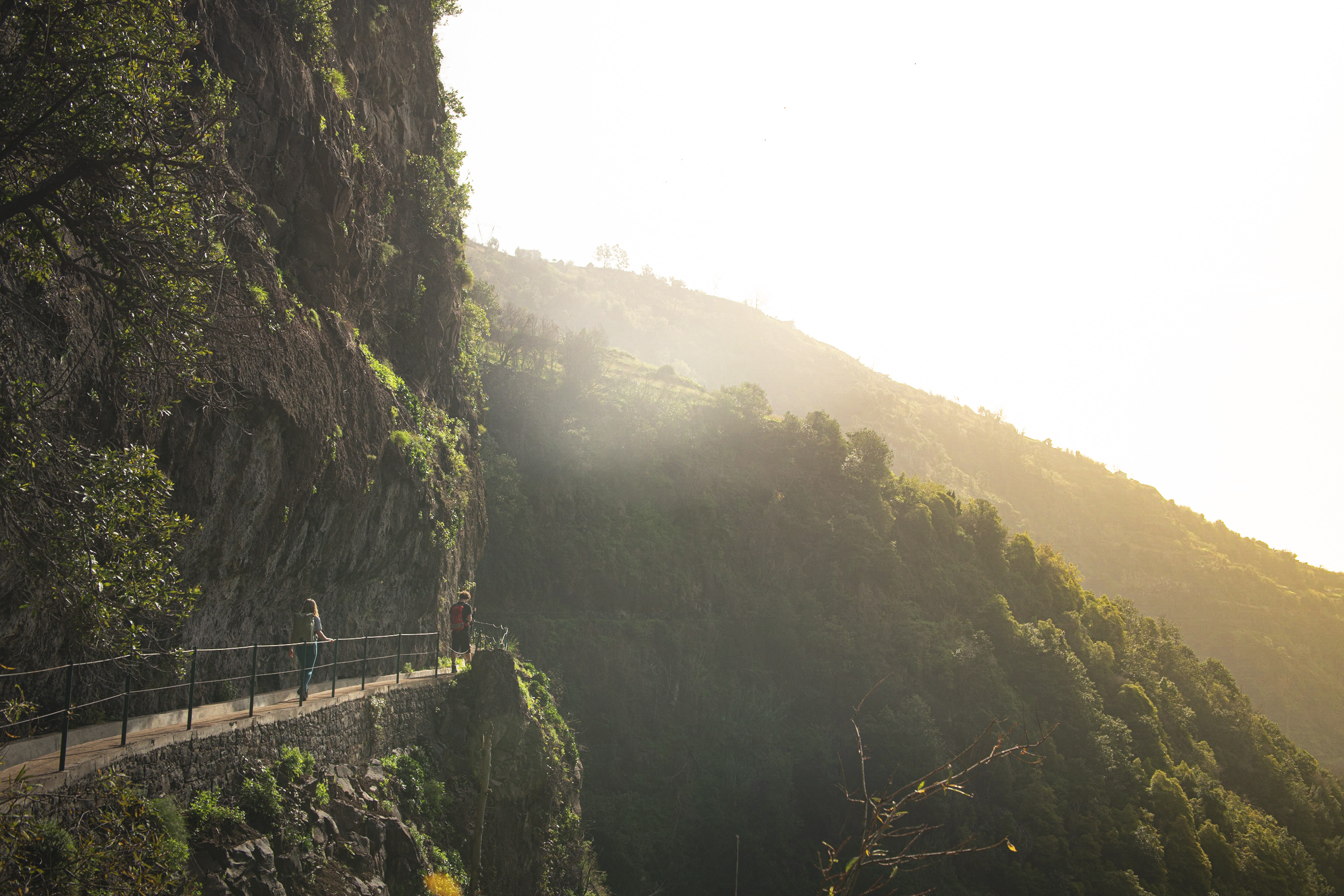 Jonas Nefzger Photography