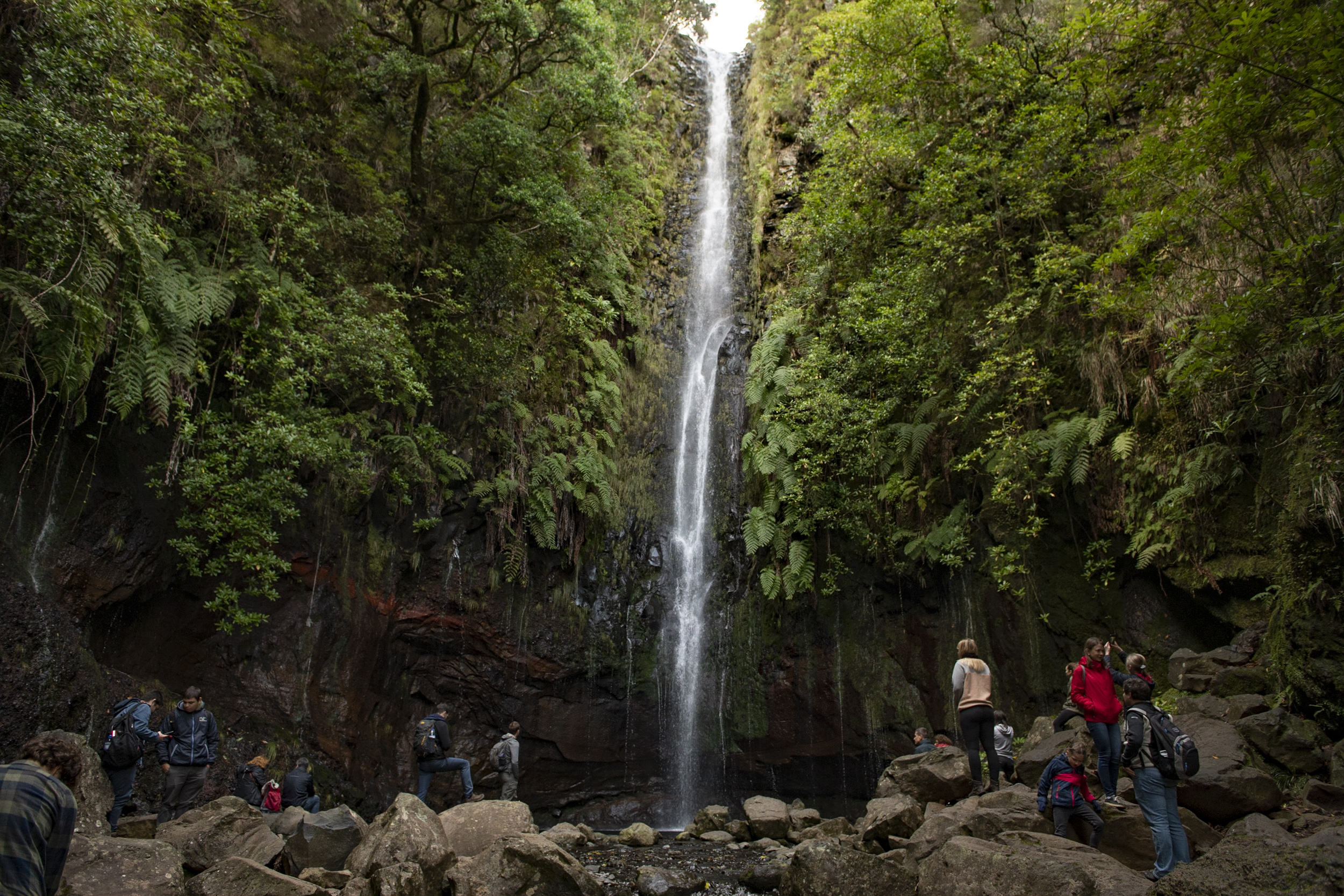 Jonas Nefzger Photography