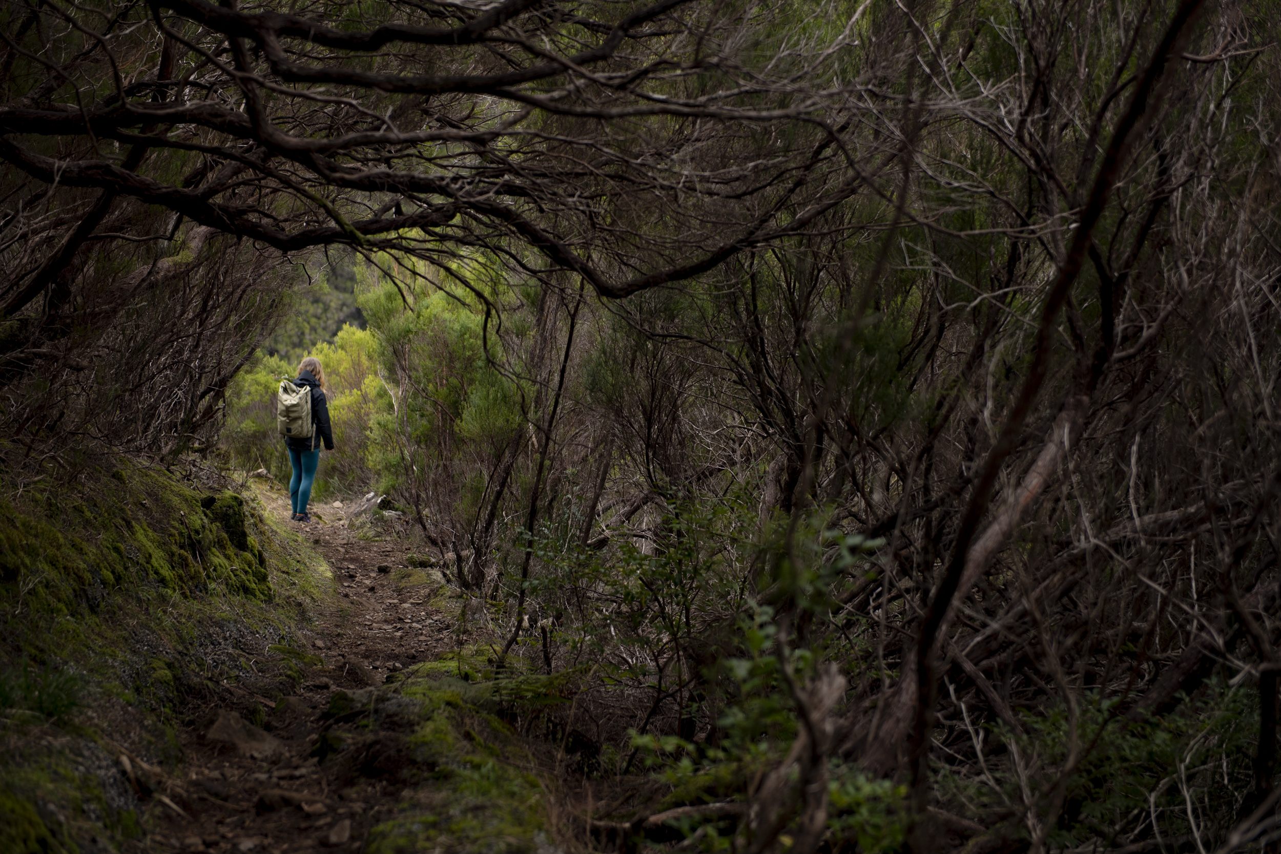 Jonas Nefzger Photography