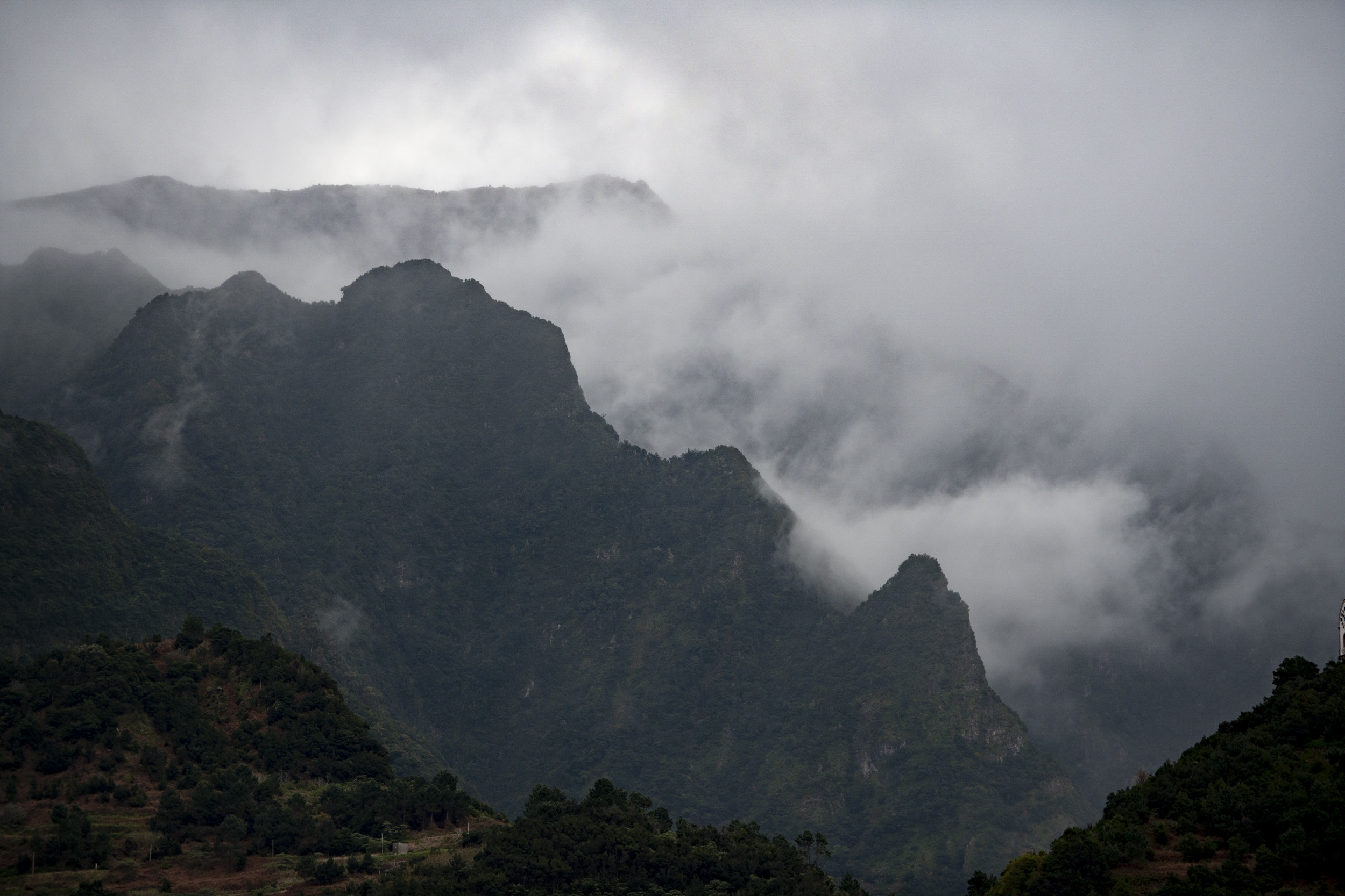 Jonas Nefzger Photography