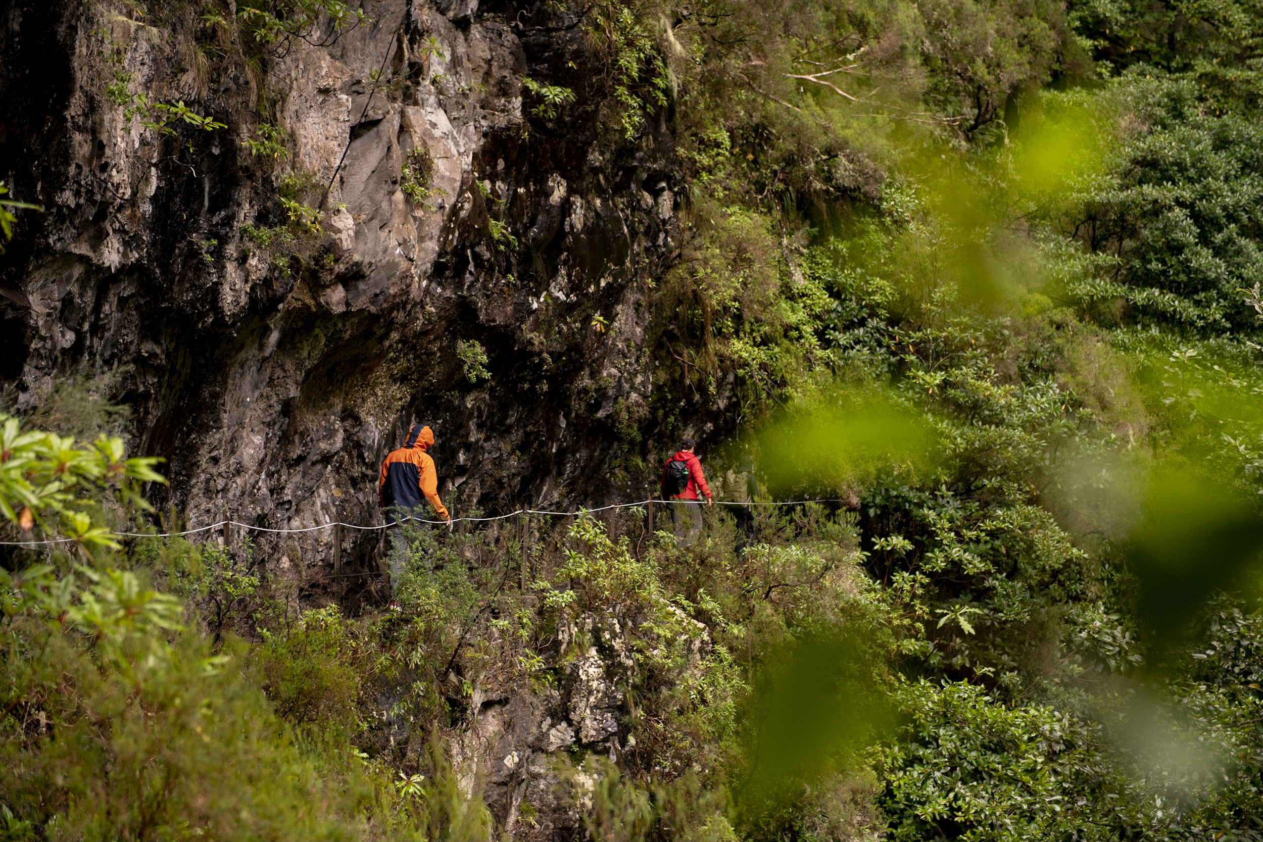 Jonas Nefzger Photography