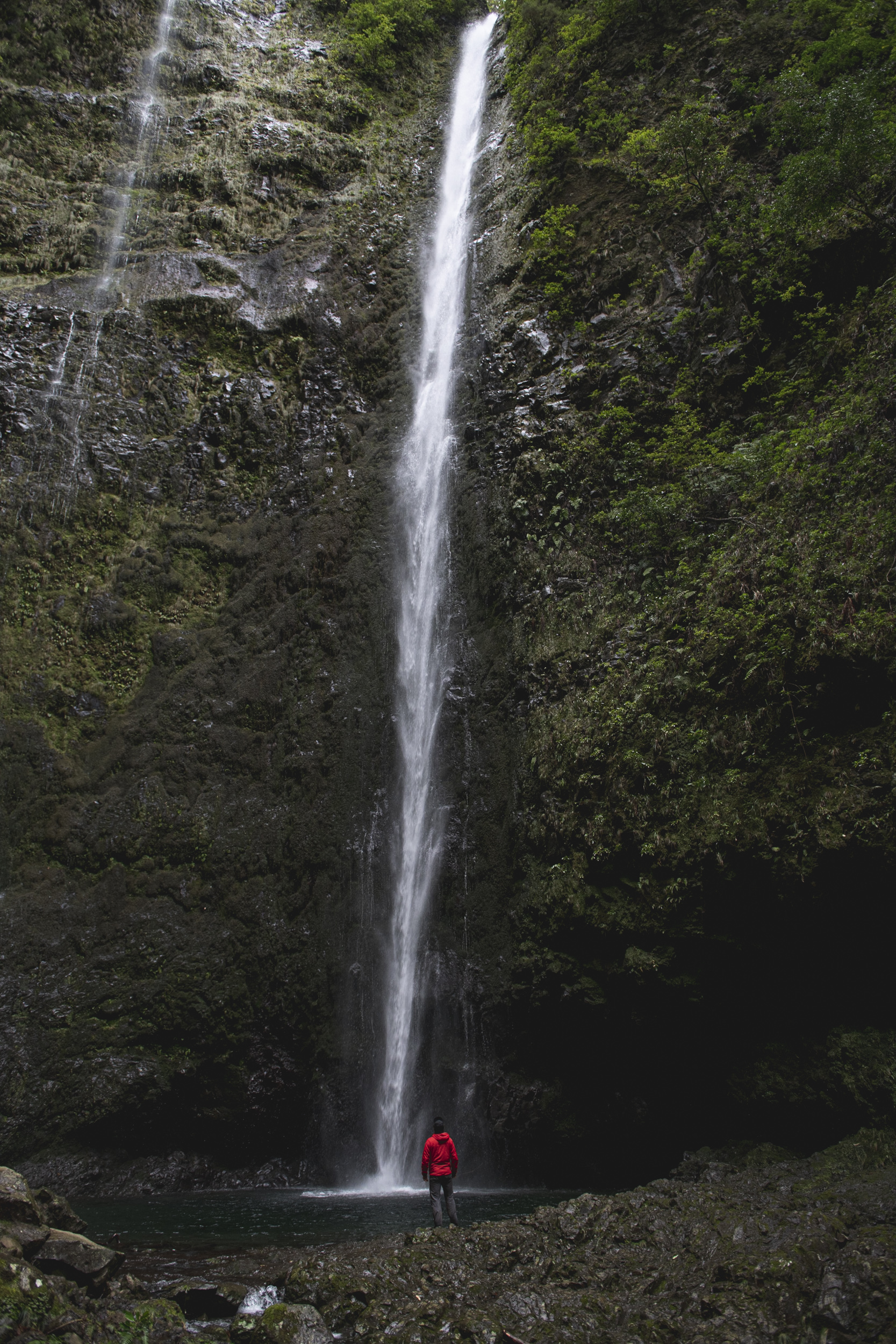 Jonas Nefzger Photography