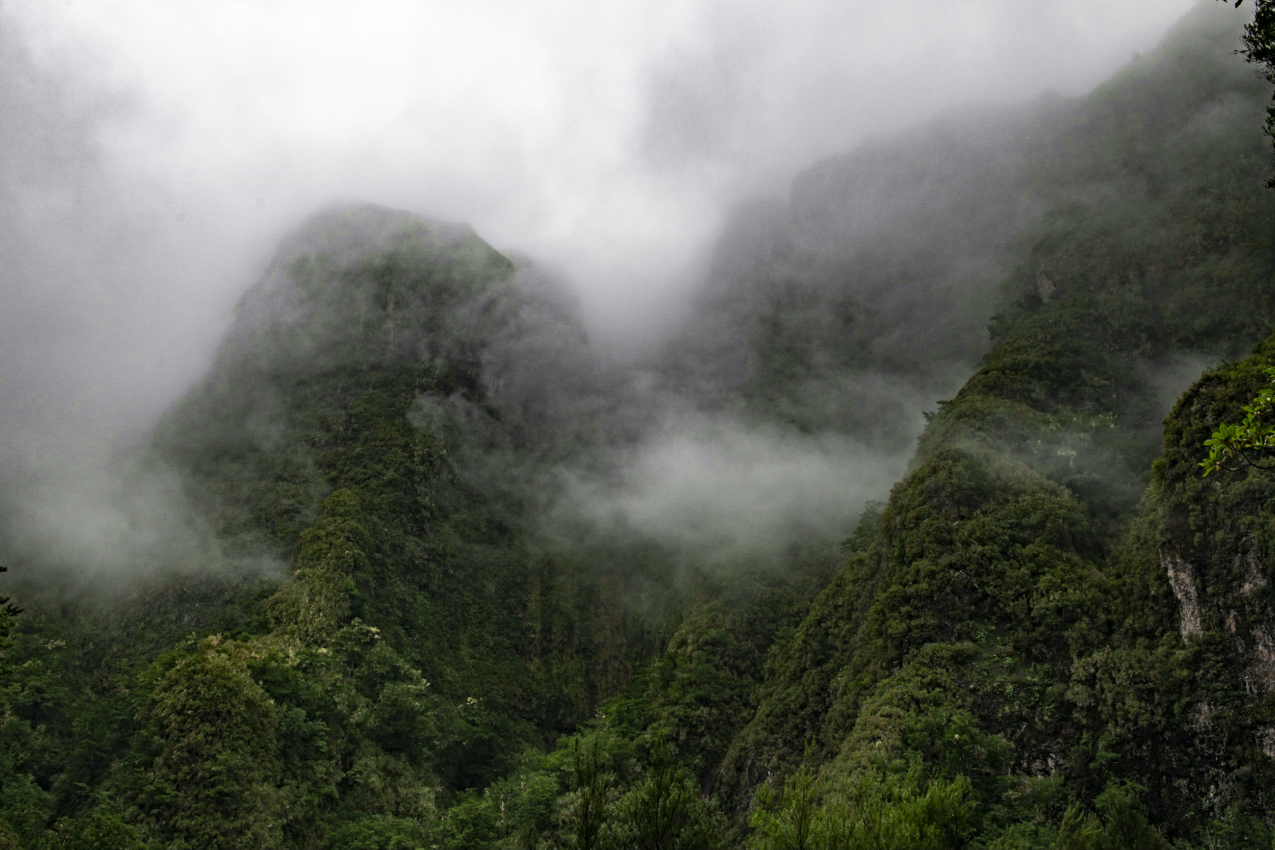 Jonas Nefzger Photography