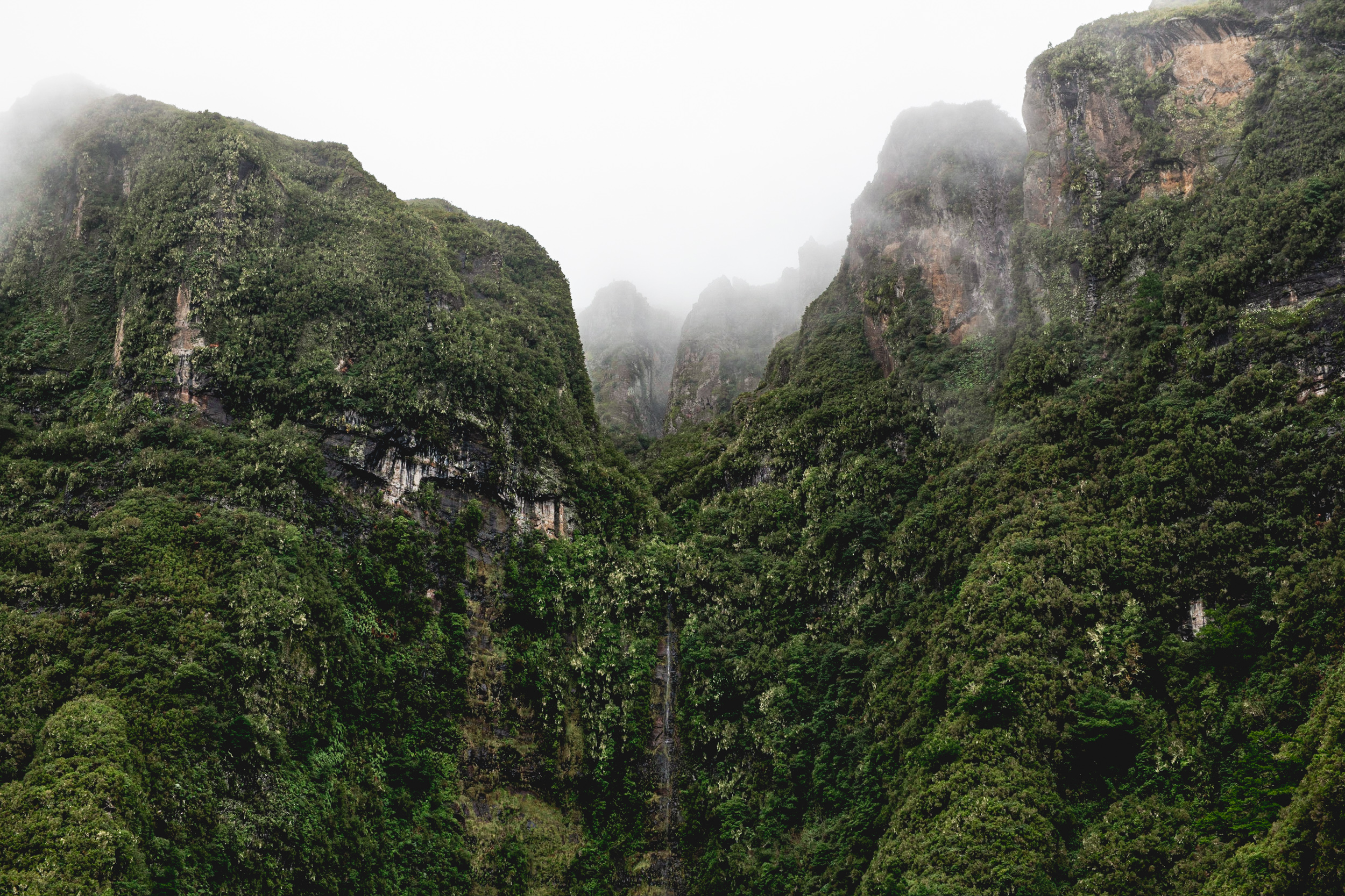 Jonas Nefzger Photography