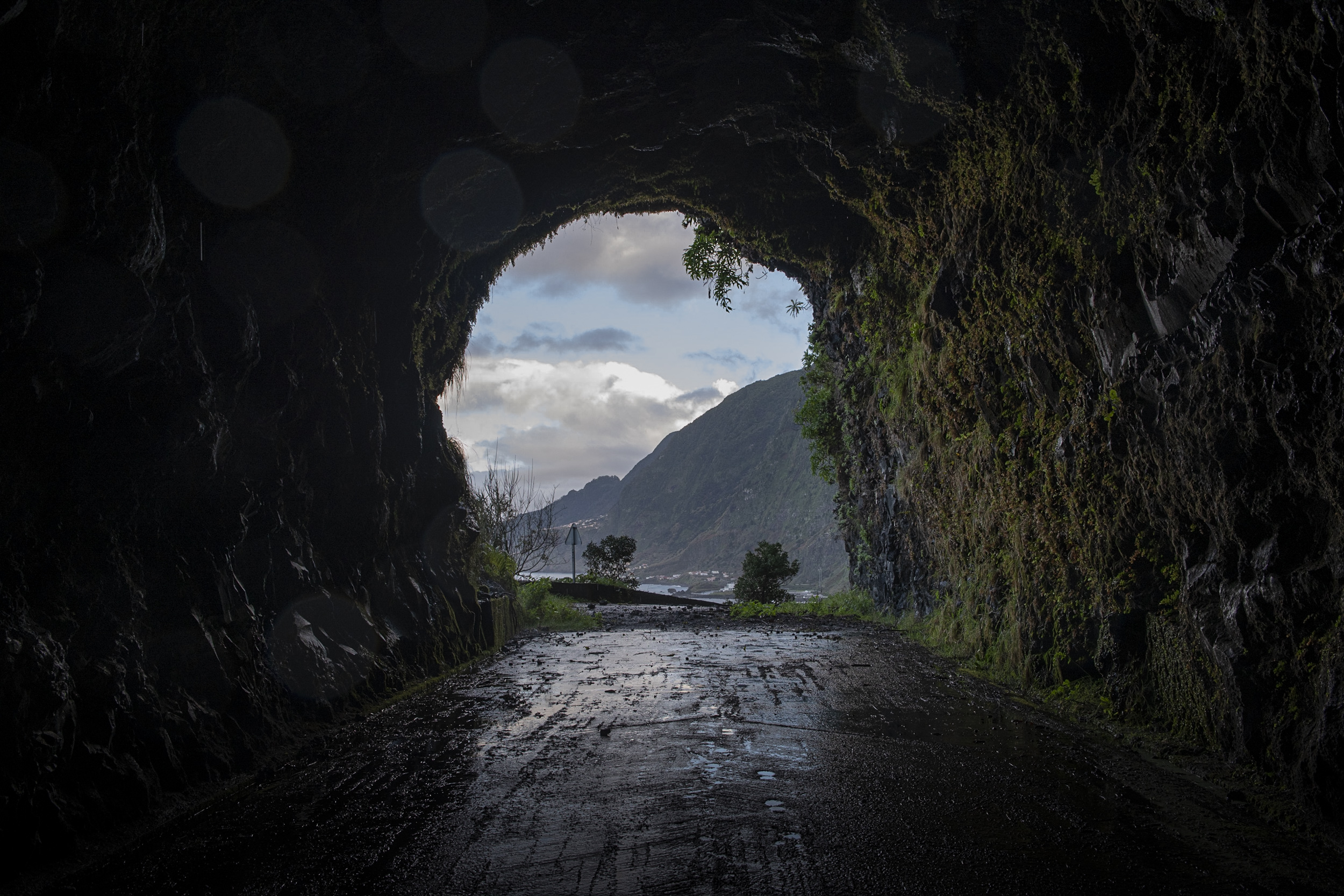 Jonas Nefzger Photography