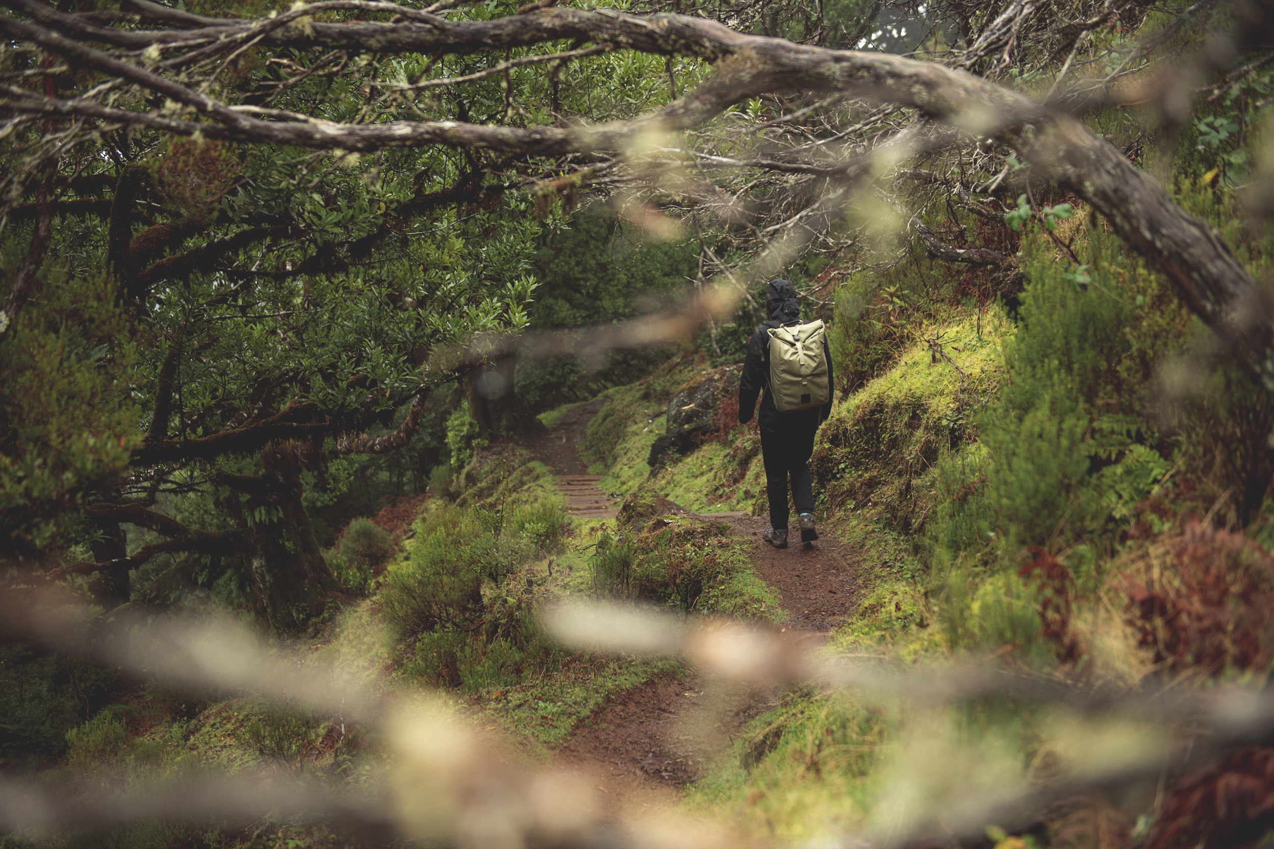 Jonas Nefzger Photography