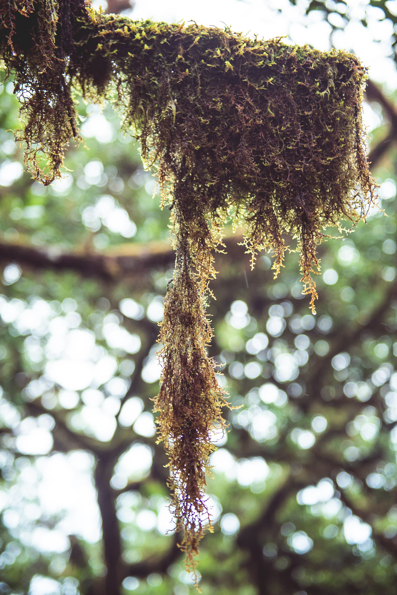 Jonas Nefzger Photography