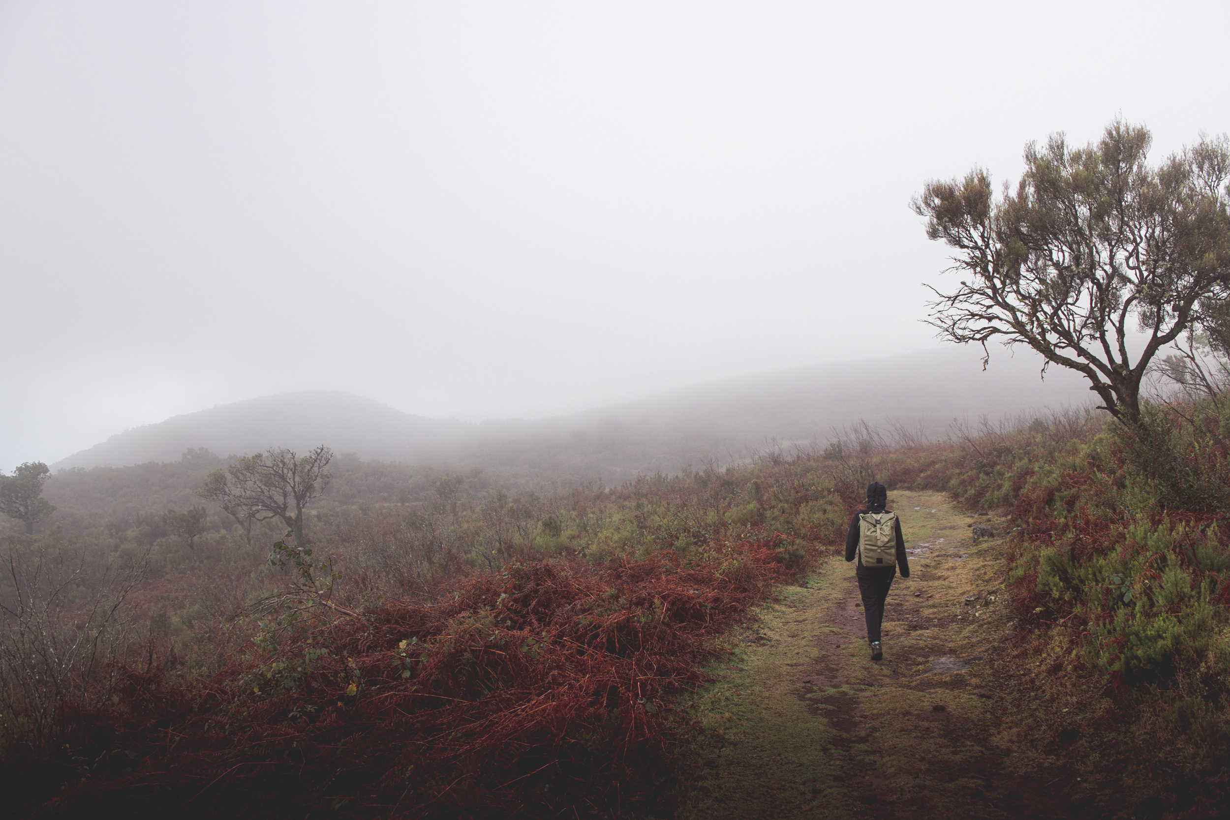 Jonas Nefzger Photography