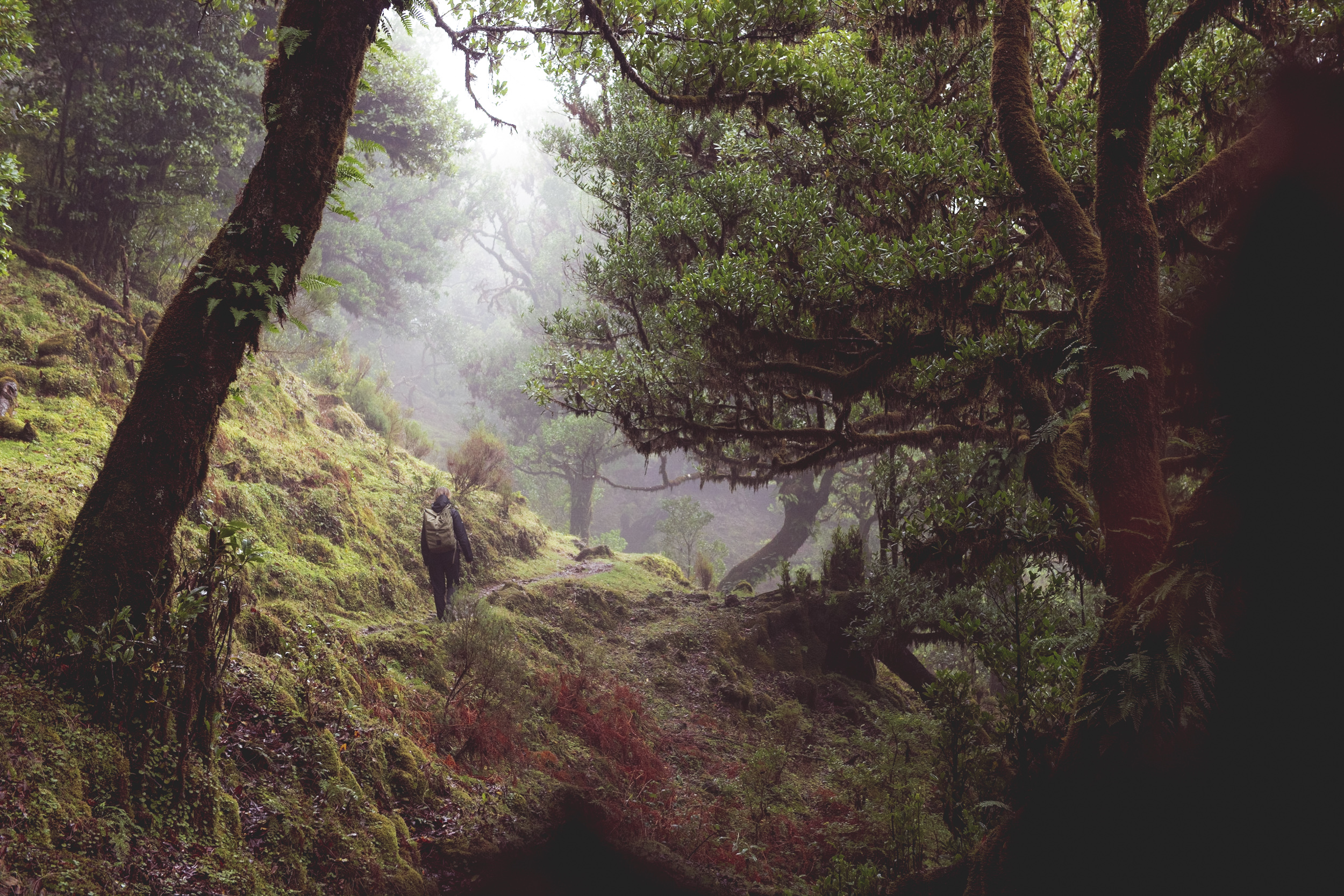 Jonas Nefzger Photography