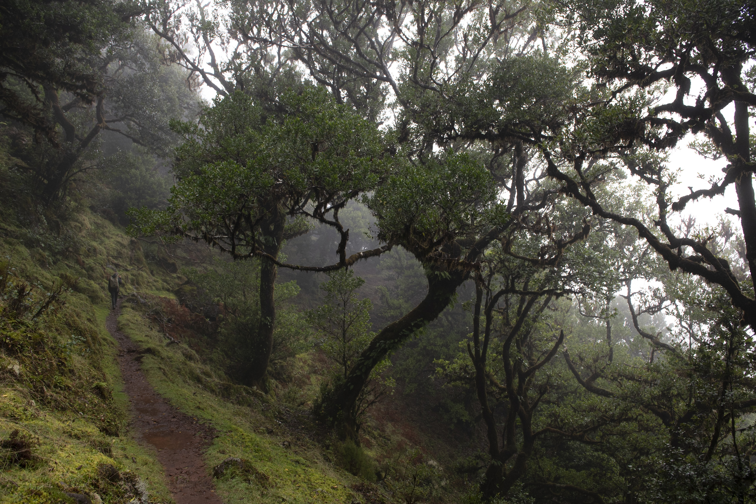 Jonas Nefzger Photography