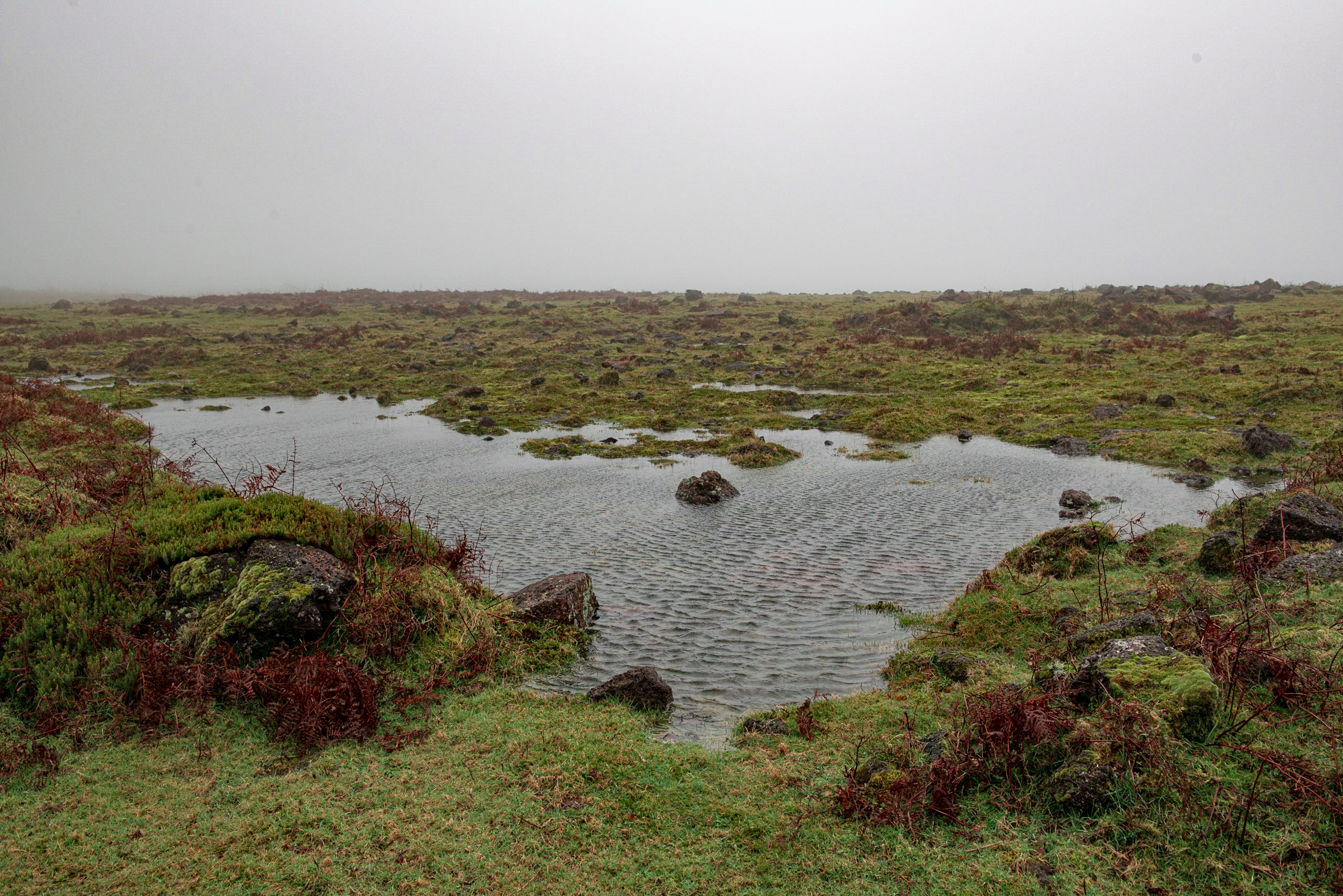 Jonas Nefzger Photography