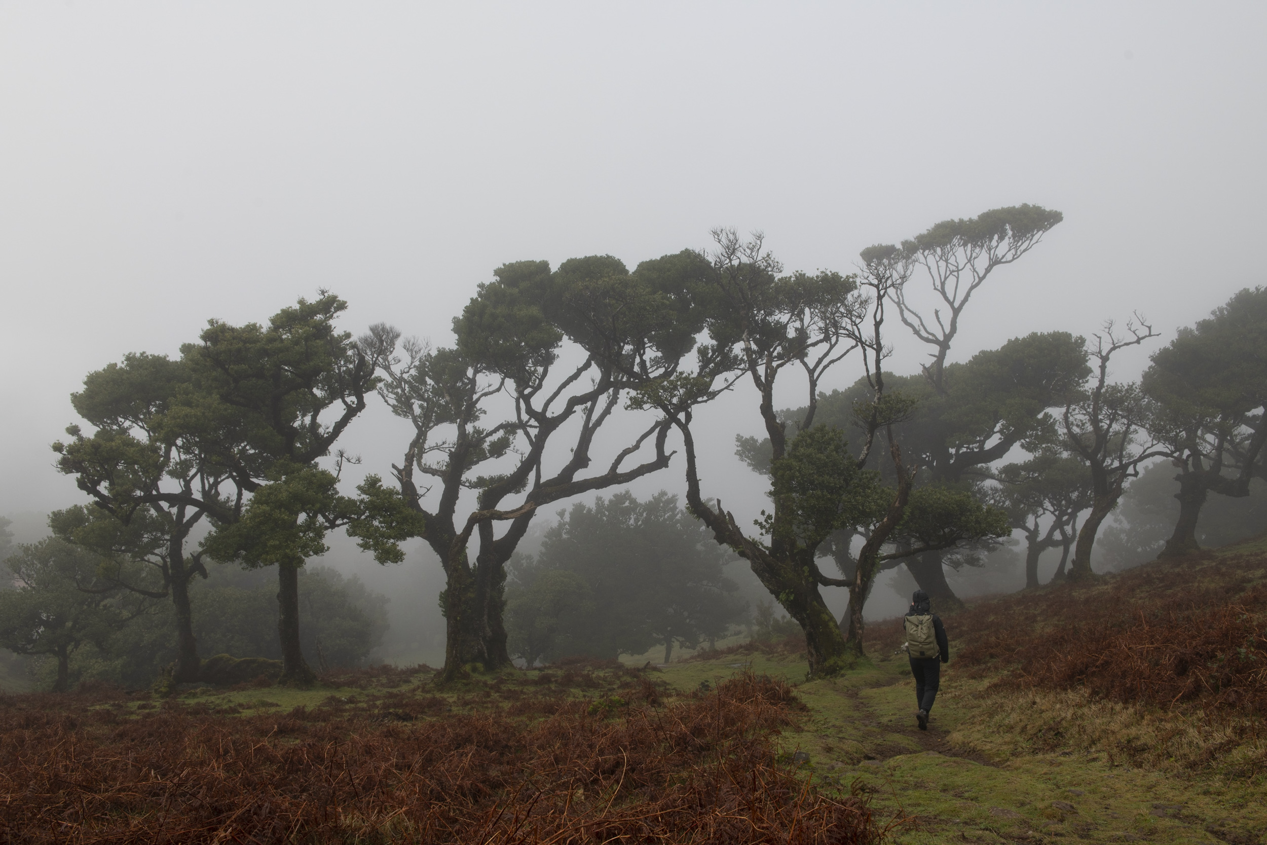 Jonas Nefzger Photography