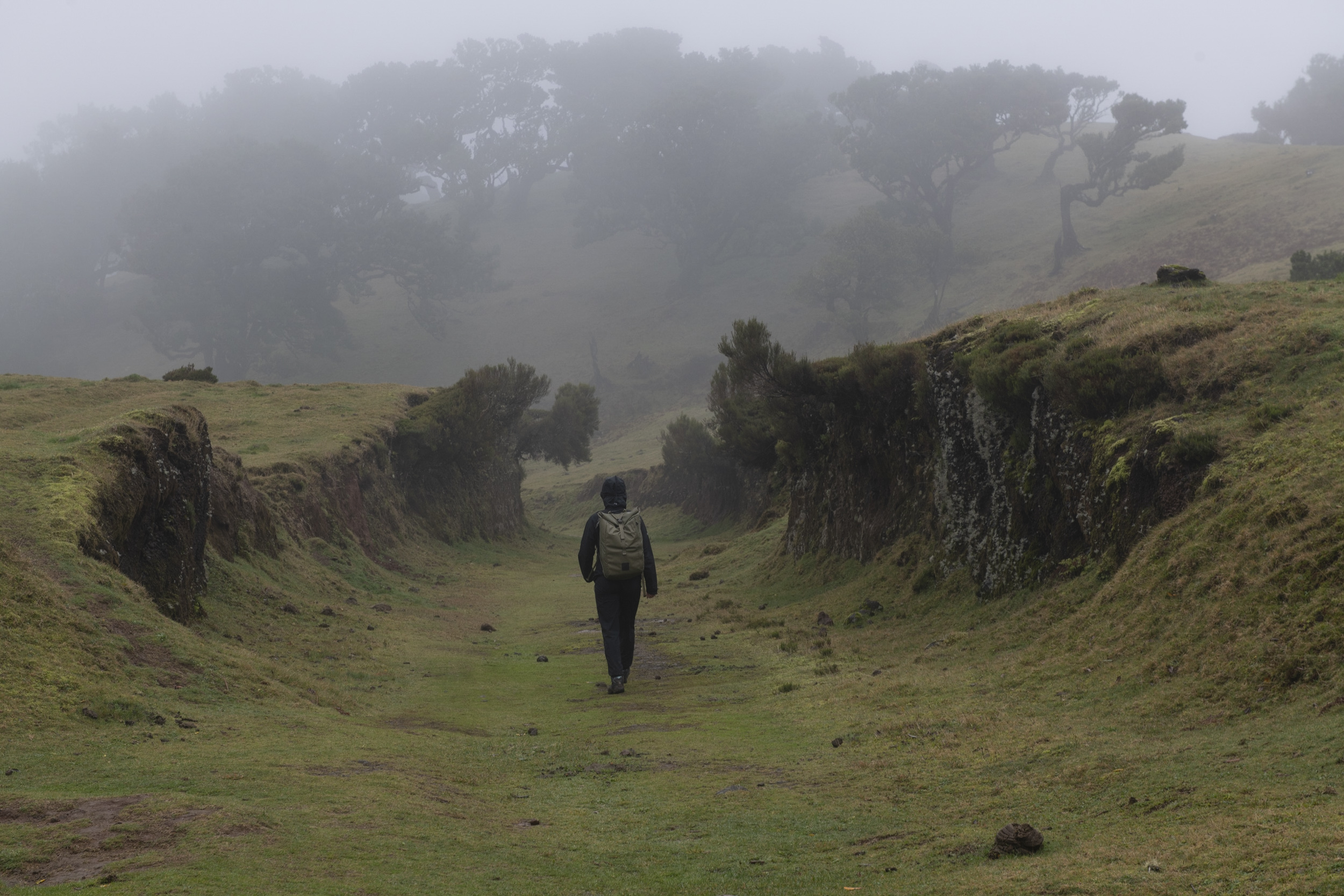 Jonas Nefzger Photography