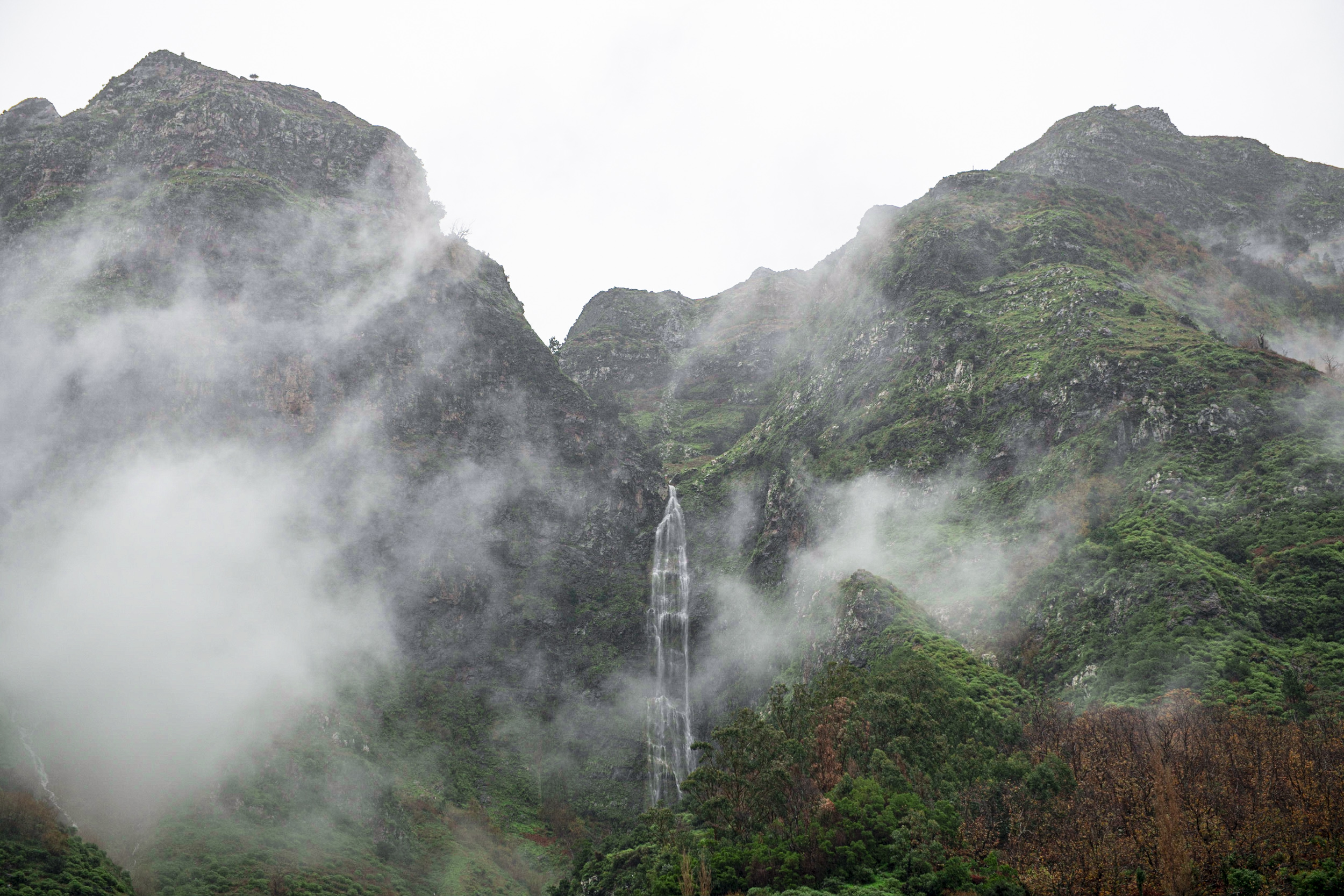 Jonas Nefzger Photography