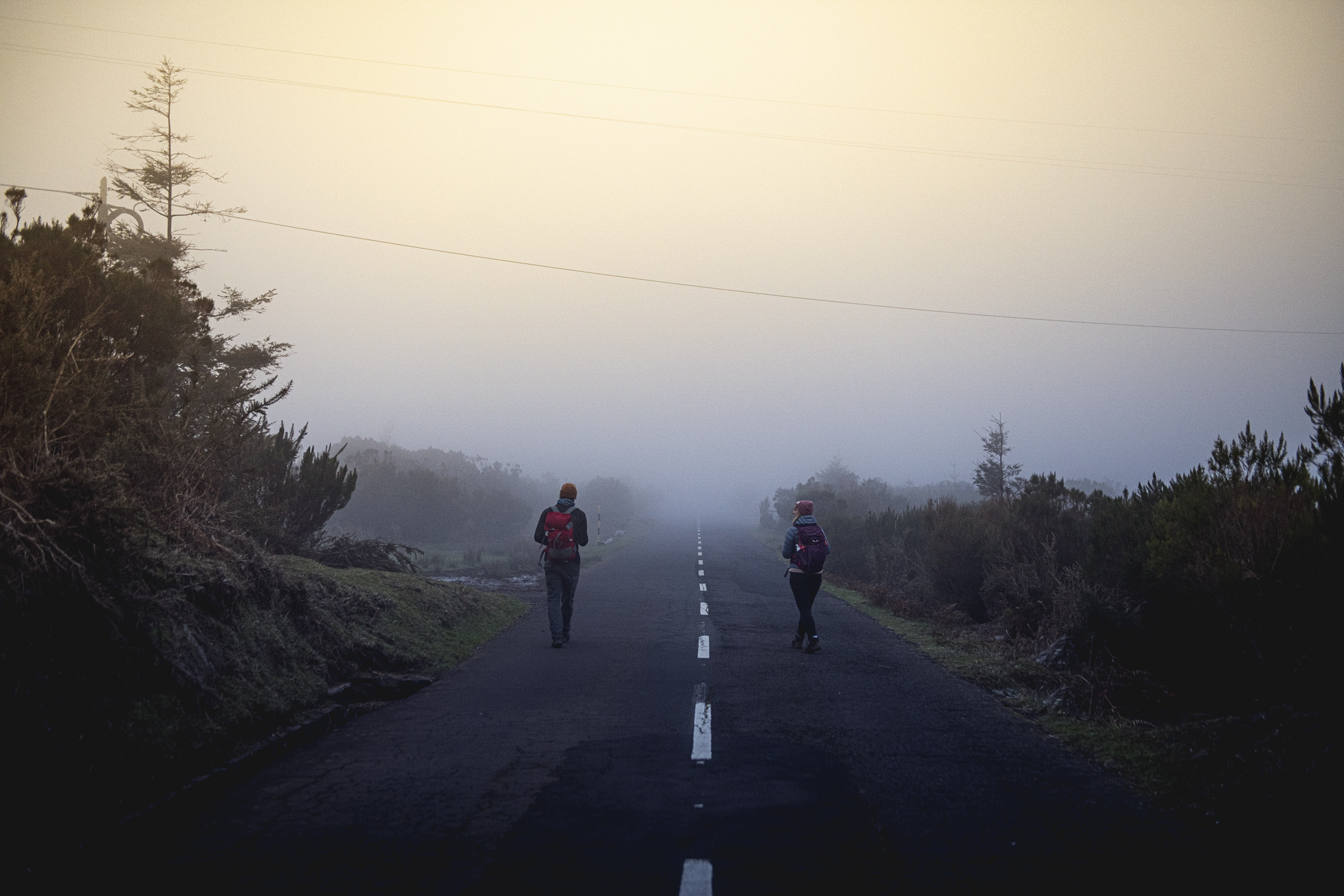 Jonas Nefzger Photography