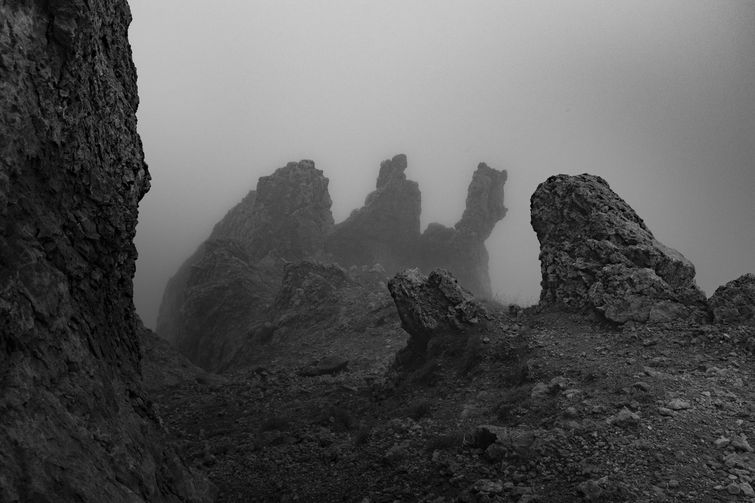 Jonas Nefzger Photography