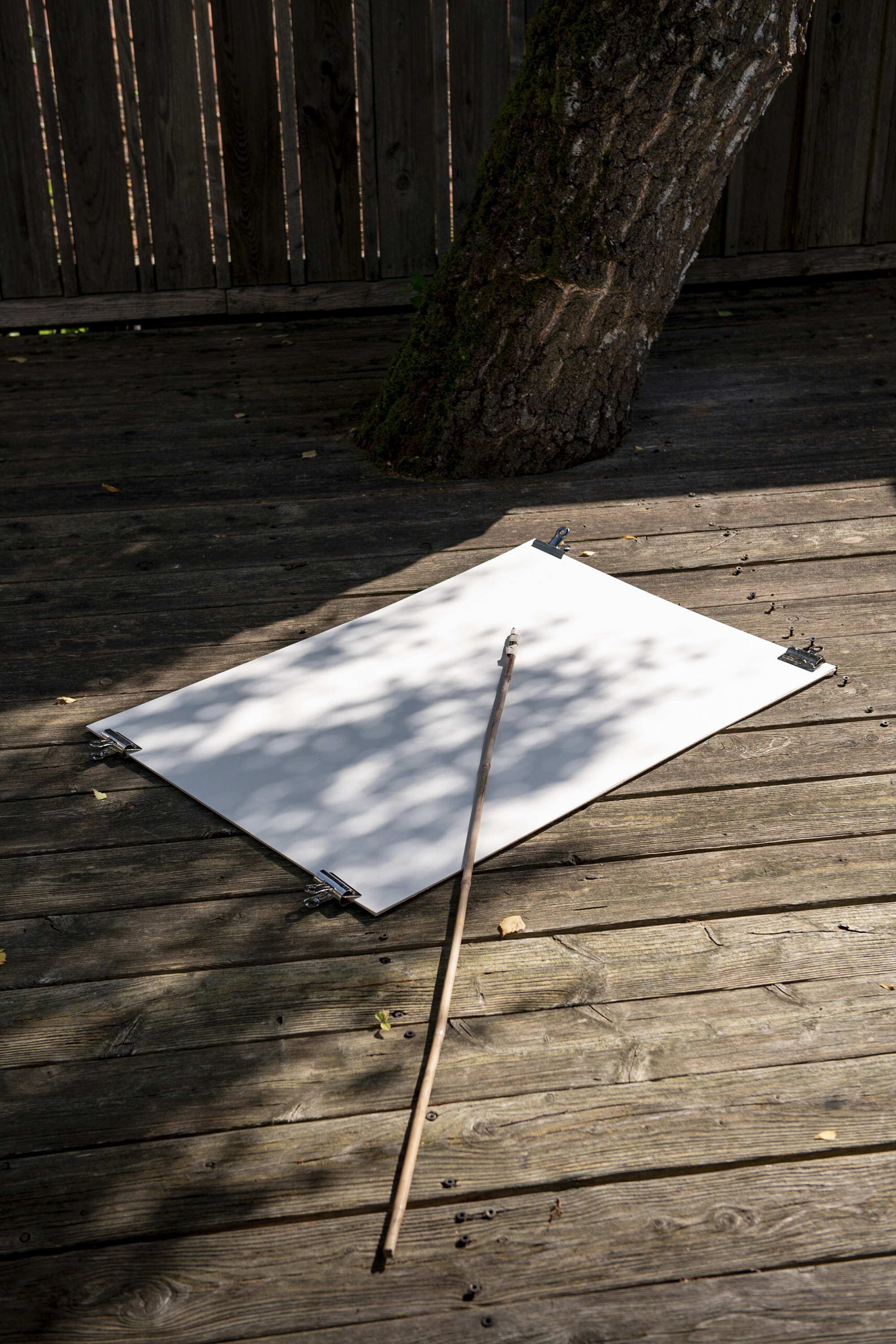 Jonas Nefzger Photography