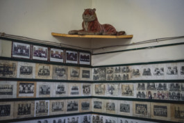 Jonas Nefzger Photography