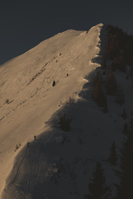 Jonas Nefzger Photography