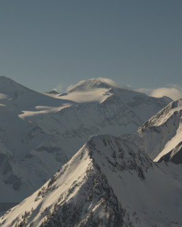 Jonas Nefzger Photography